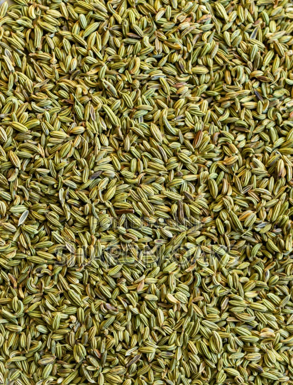 Fennel Seeds 1kg
