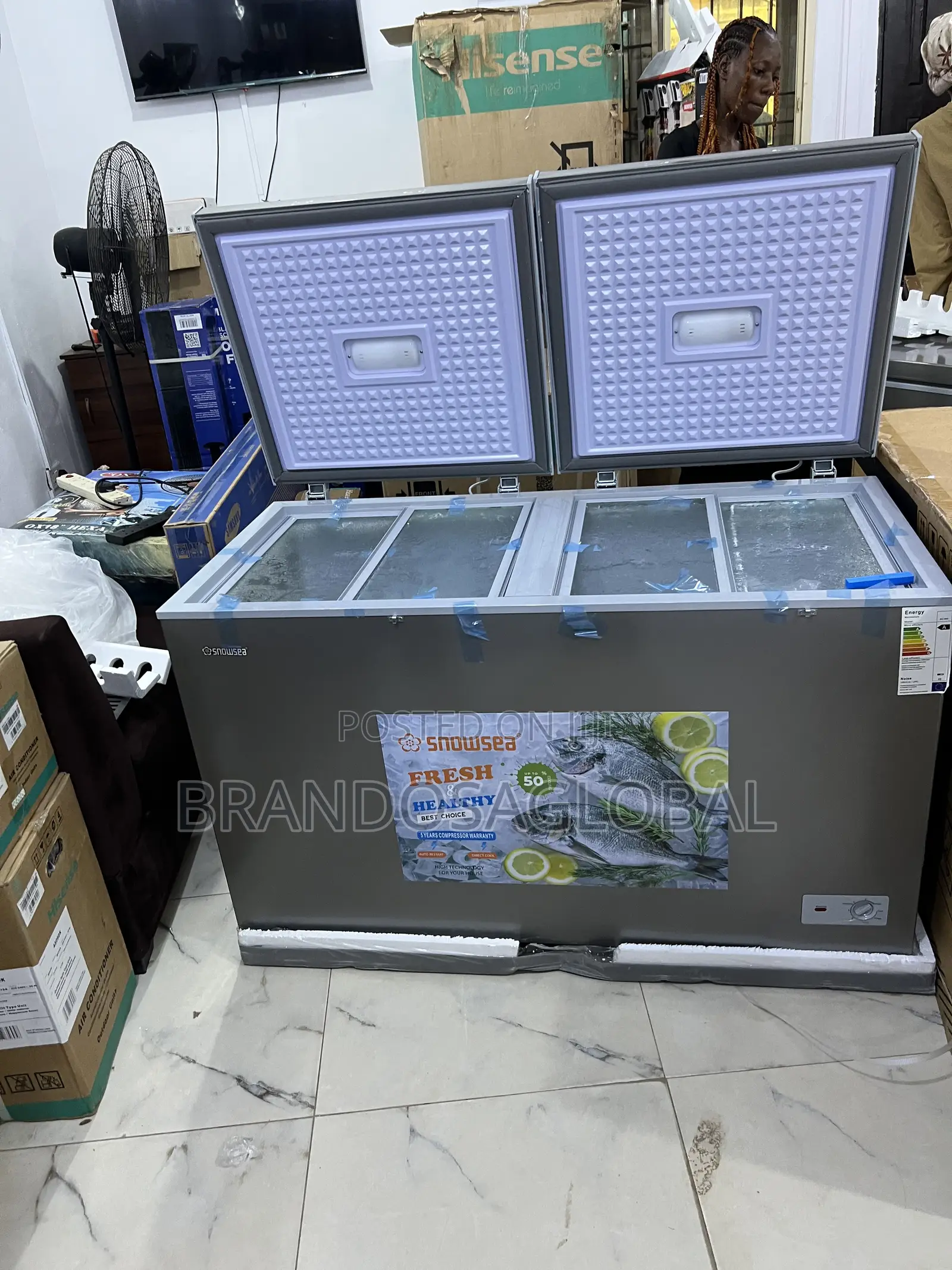 Snowsea Bd-600g 420l Freezer With High-Grade Freezing Plates
