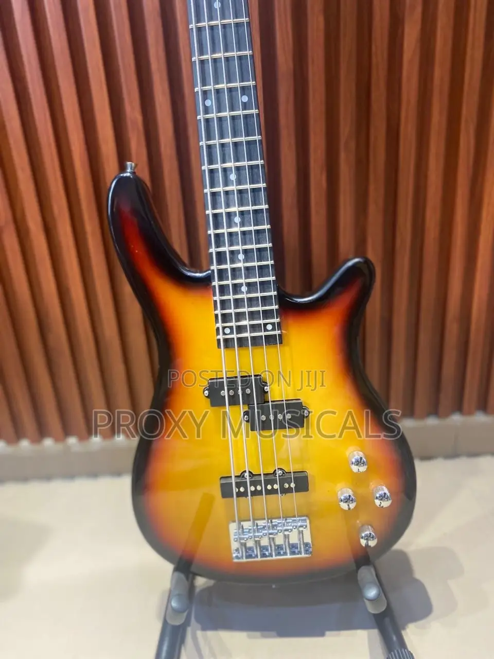 Fender Bass Guitar