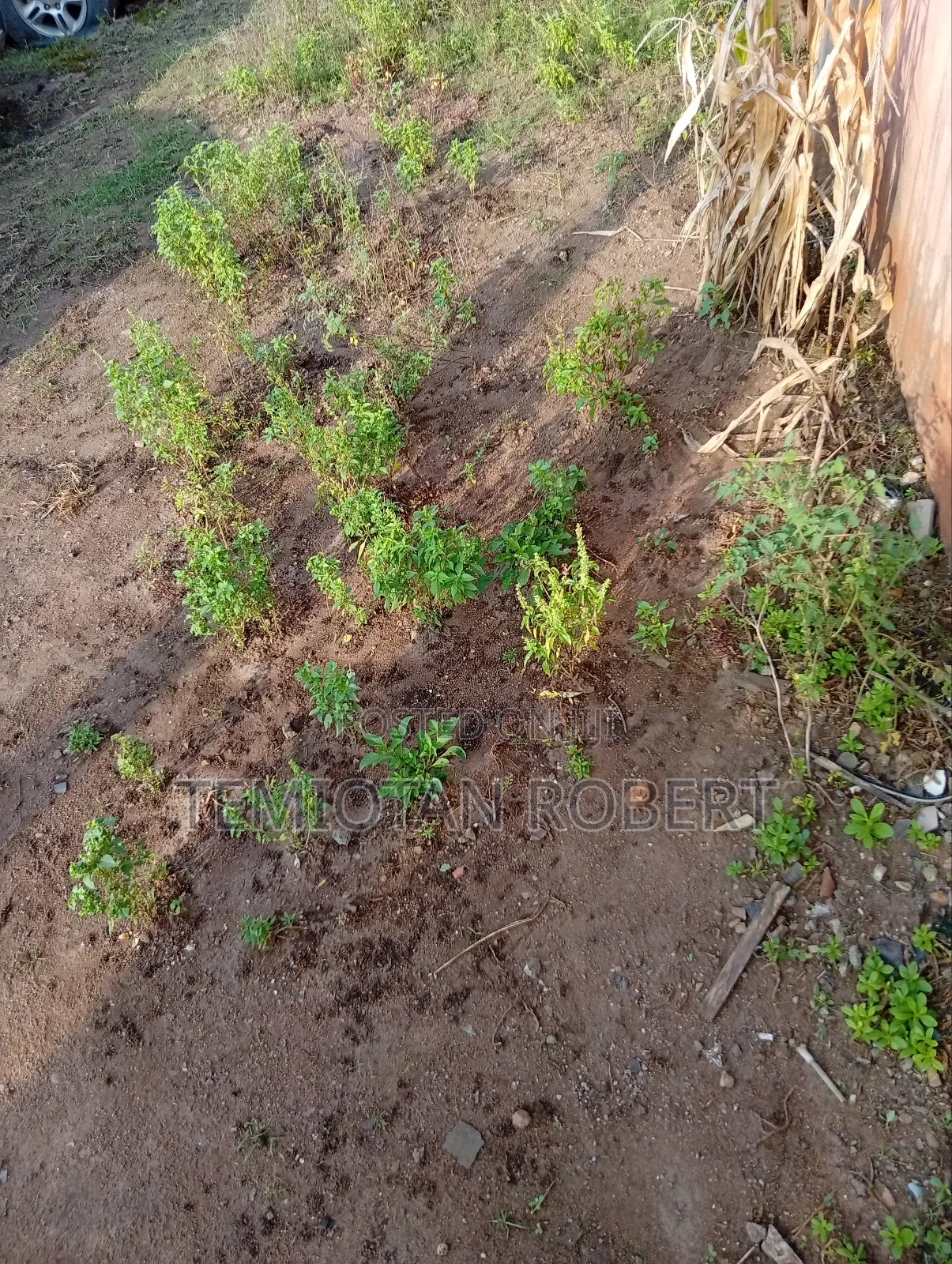 Half Plot of Land at Igbele Atan Ota