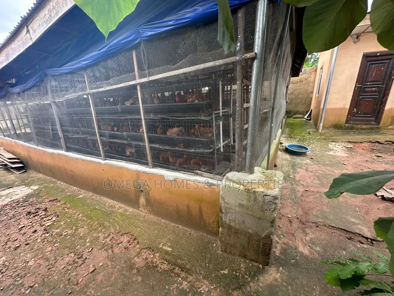 Poultry Farm for Sale