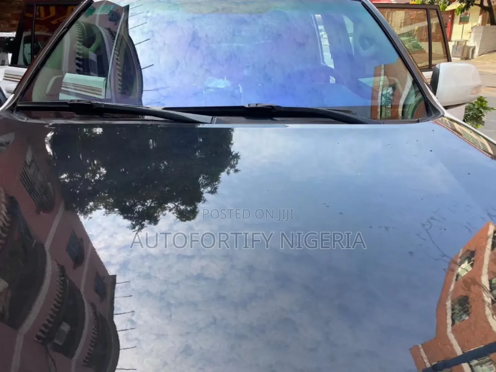 Chameleon Tint for Front Windshield One Vehicle