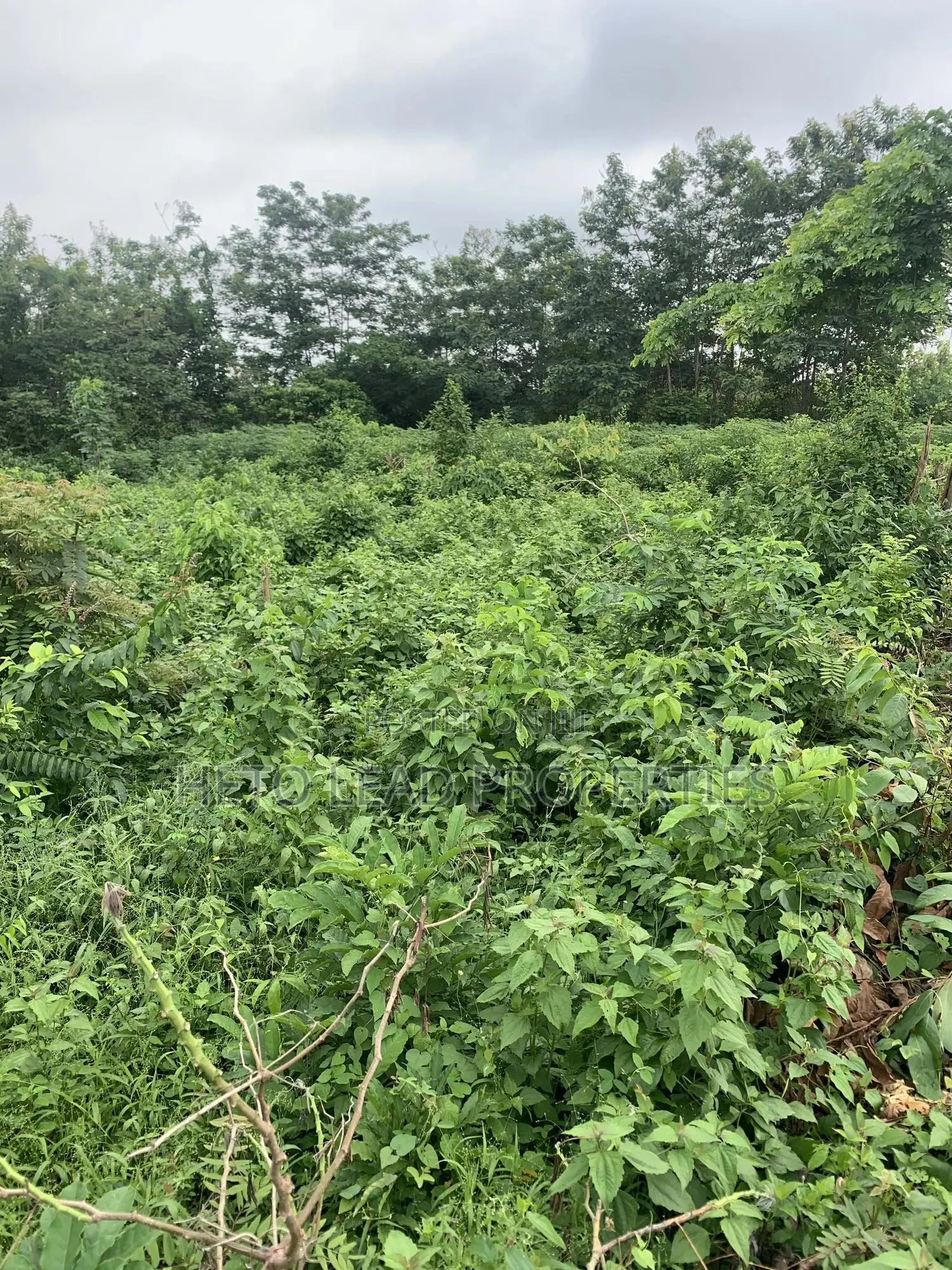 Prime Land of 2 Acres of Land at Egbeda