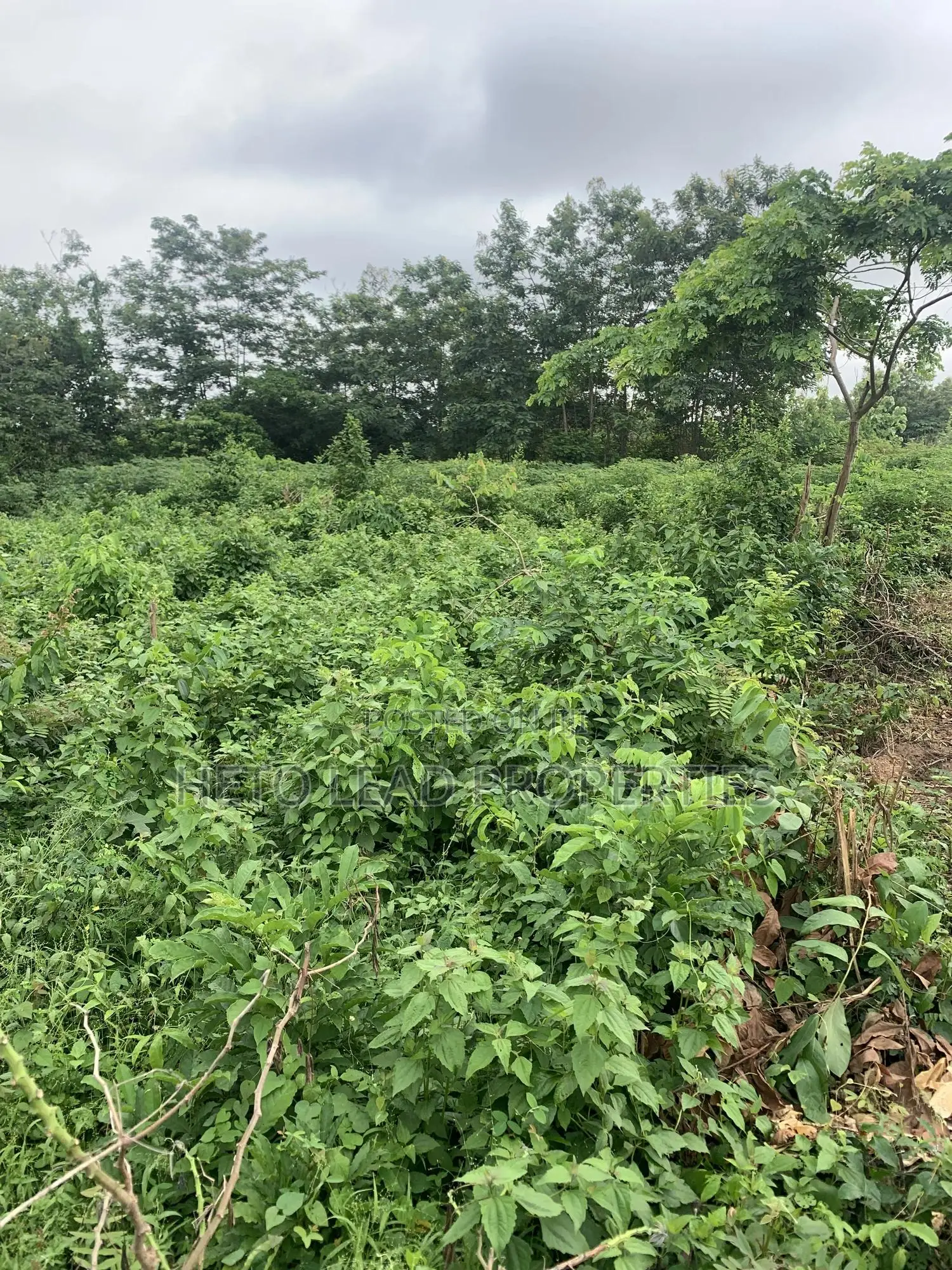 Prime Land of 2 Acres of Land at Egbeda
