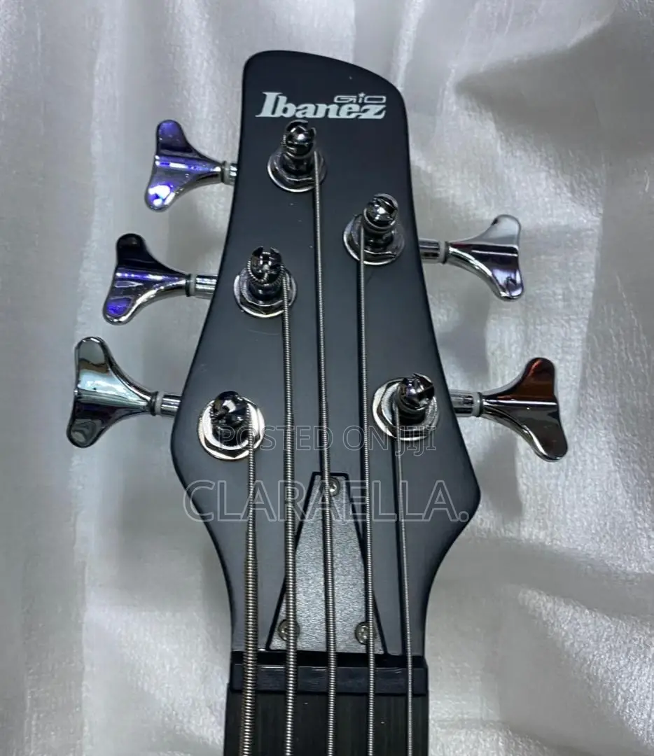 Ibanez Sr Series 5-String Electric Bass Guitar.