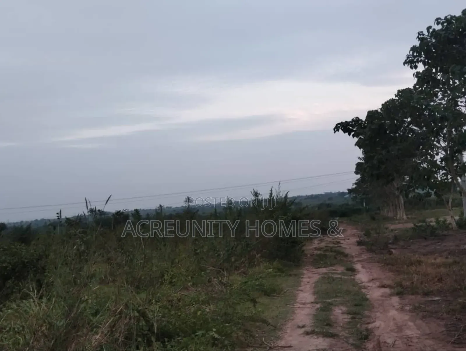 8 Acres Of Farmland For Sale – Km 5, Iseyin–Ogbomoso Road