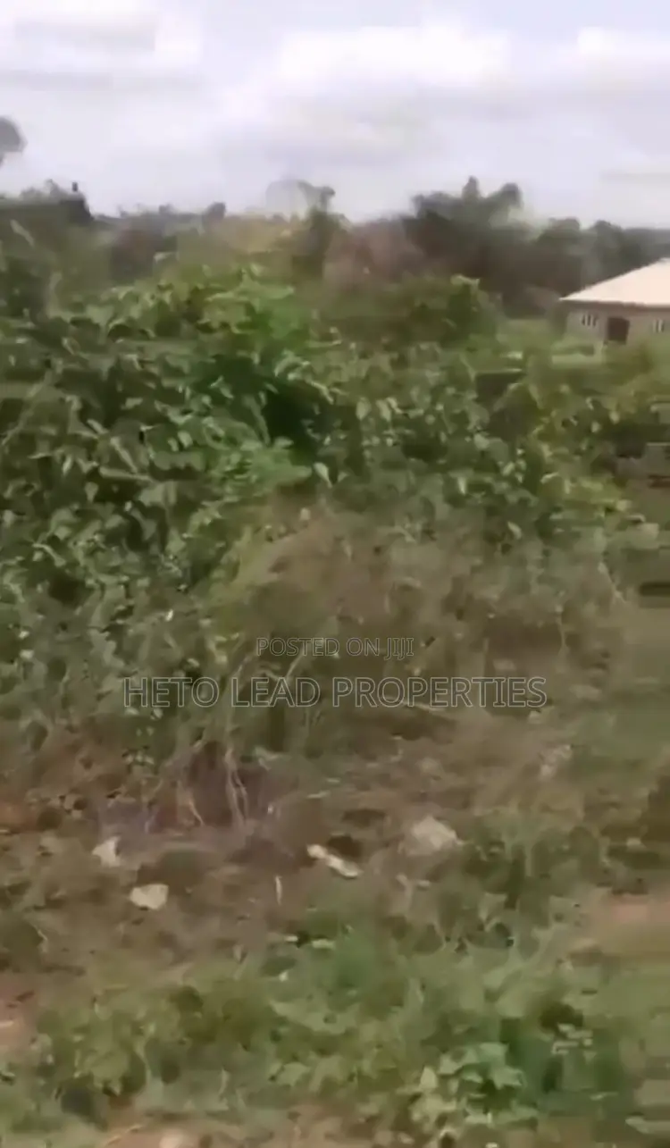 Half A Plot Of Land At Lekan Salami Stadium Arra