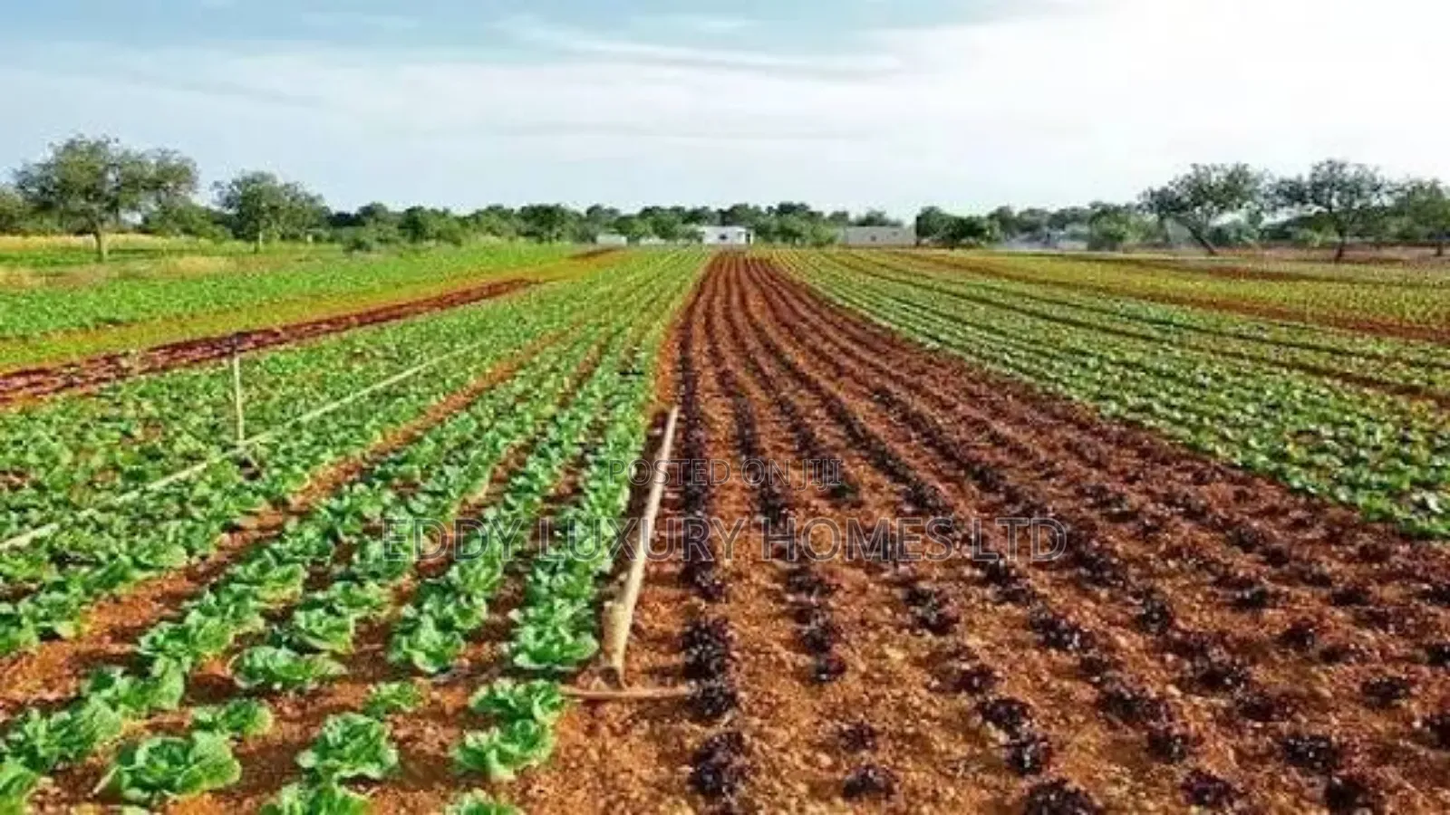 Hectares Of Lands For Sale In Uyo