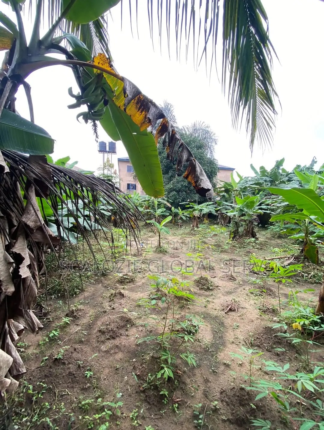 1 Plot of Land Fully Fenced Gated With Constant Electricity Secure
