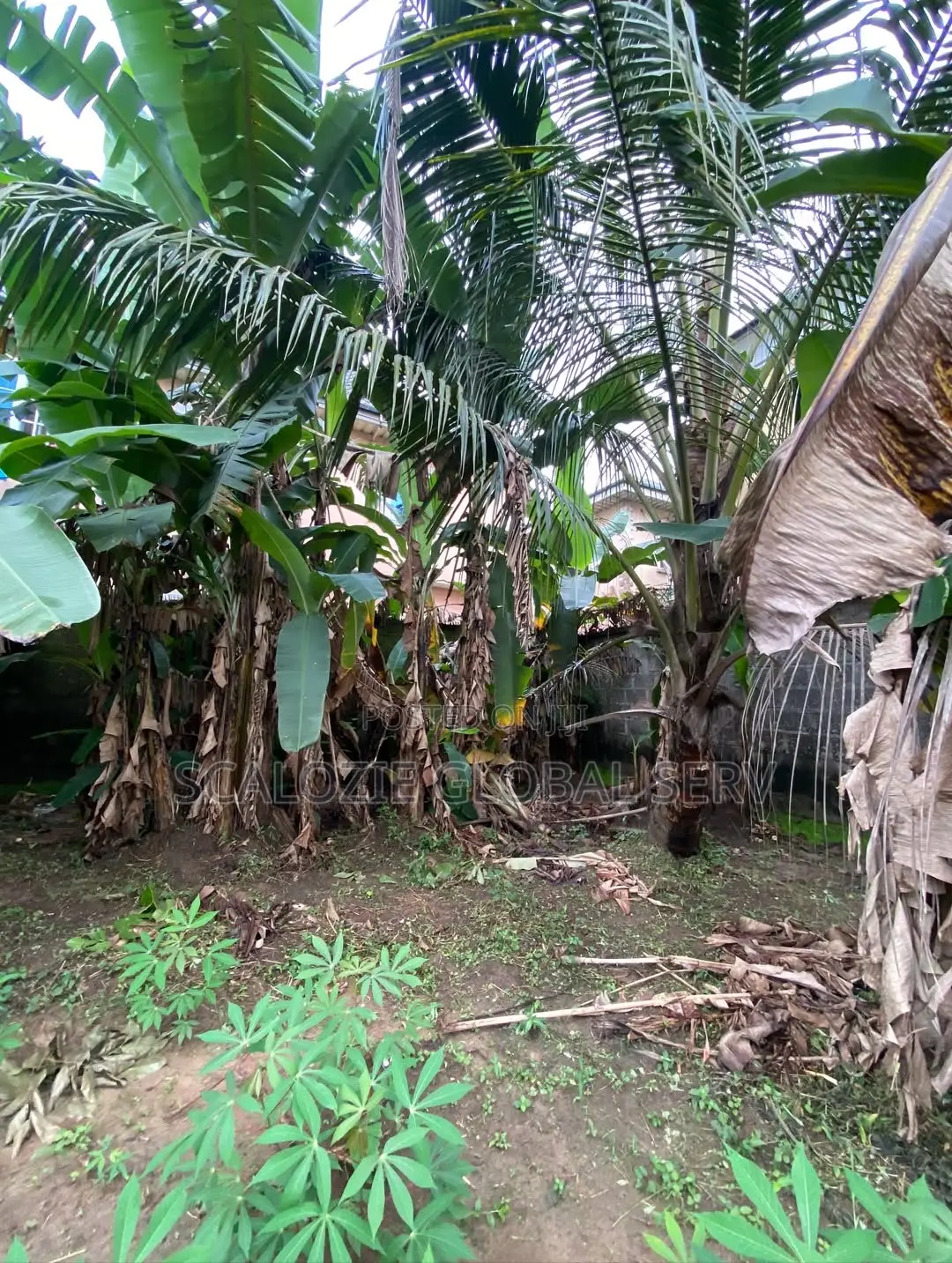 1 Plot of Land Fully Fenced Gated With Constant Electricity Secure