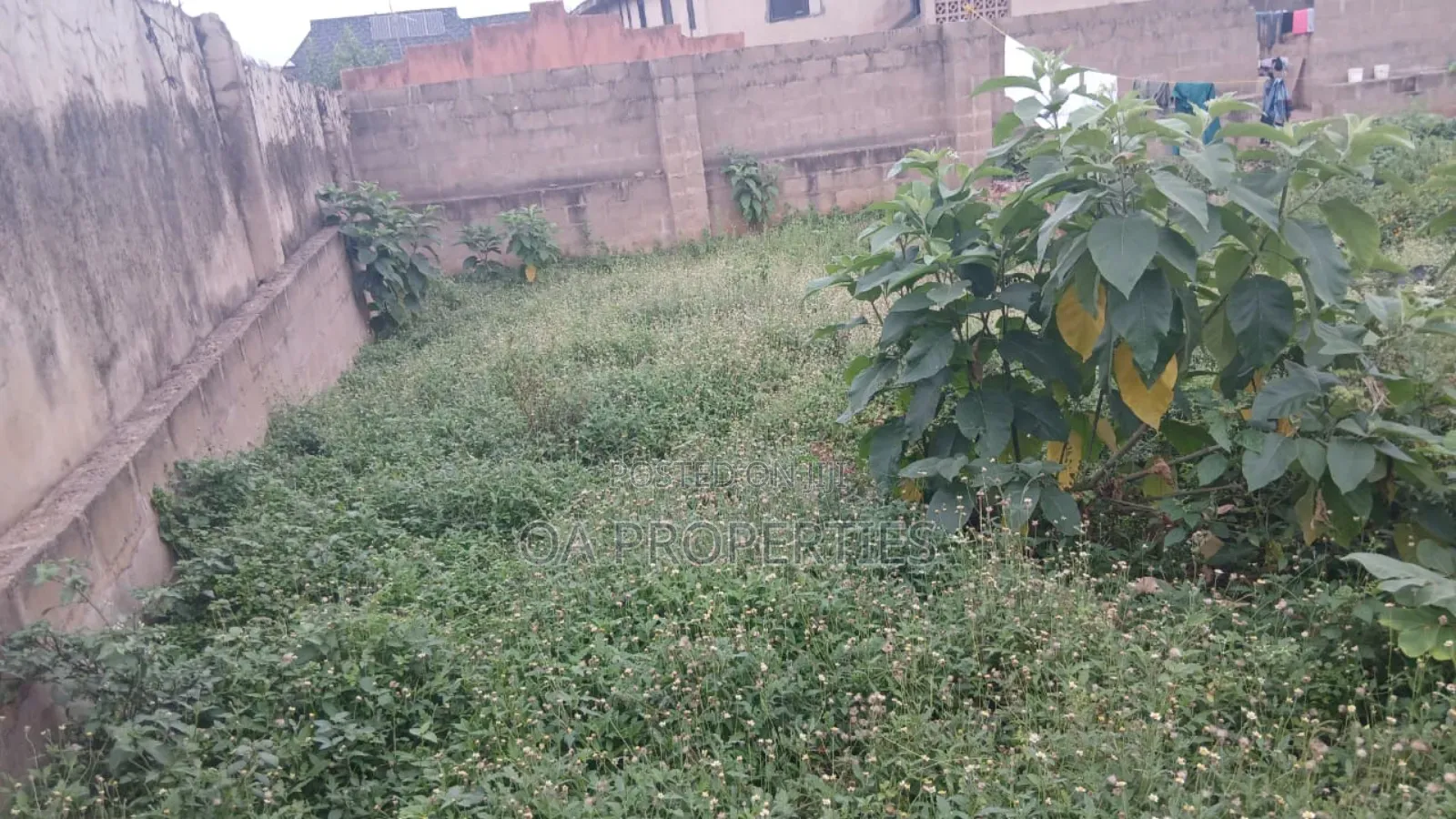 Standard Plot of Land for Sale Behind Agidigbo Fm, Akobo Ibadan