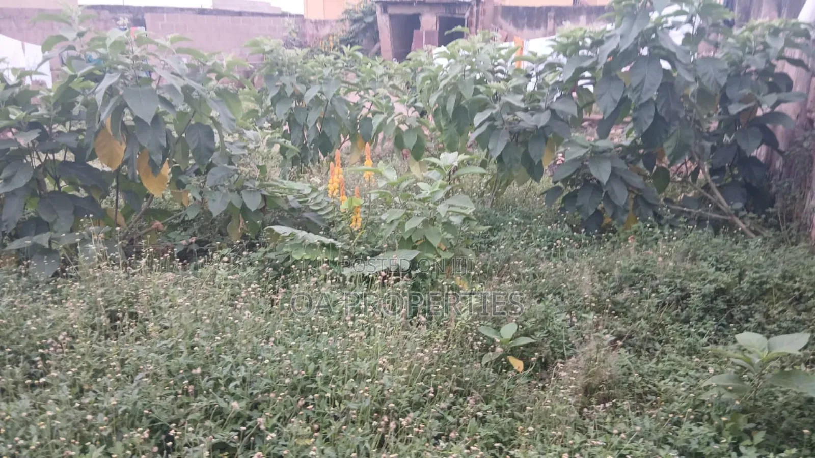Standard Plot of Land for Sale Behind Agidigbo Fm, Akobo Ibadan