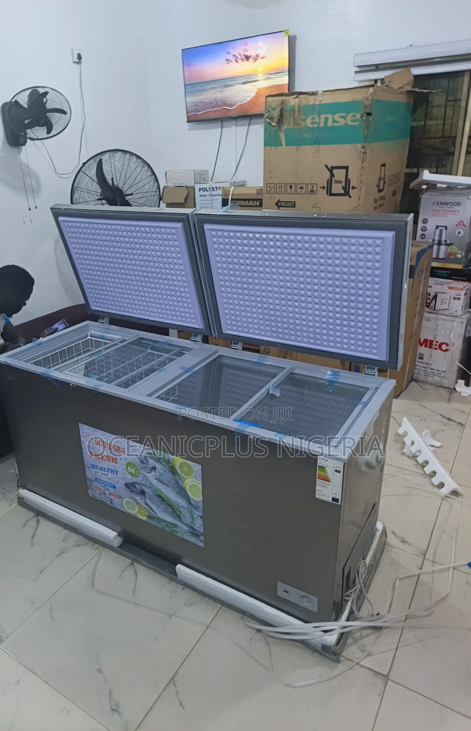 Bd-700 Snowsea Deep Freezer Unit 520l (Bd-700)