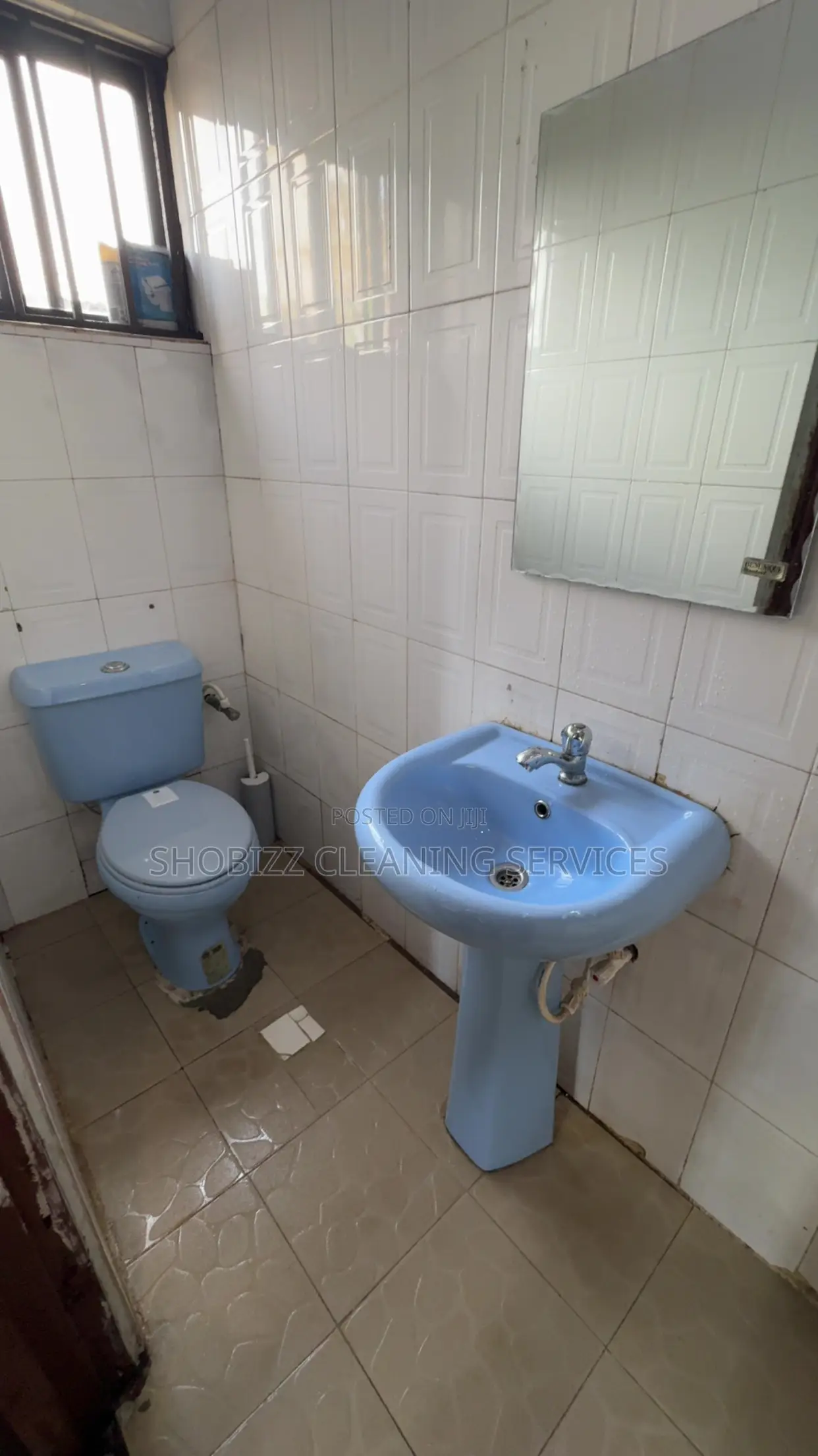 Apartment and Toilet Cleaning