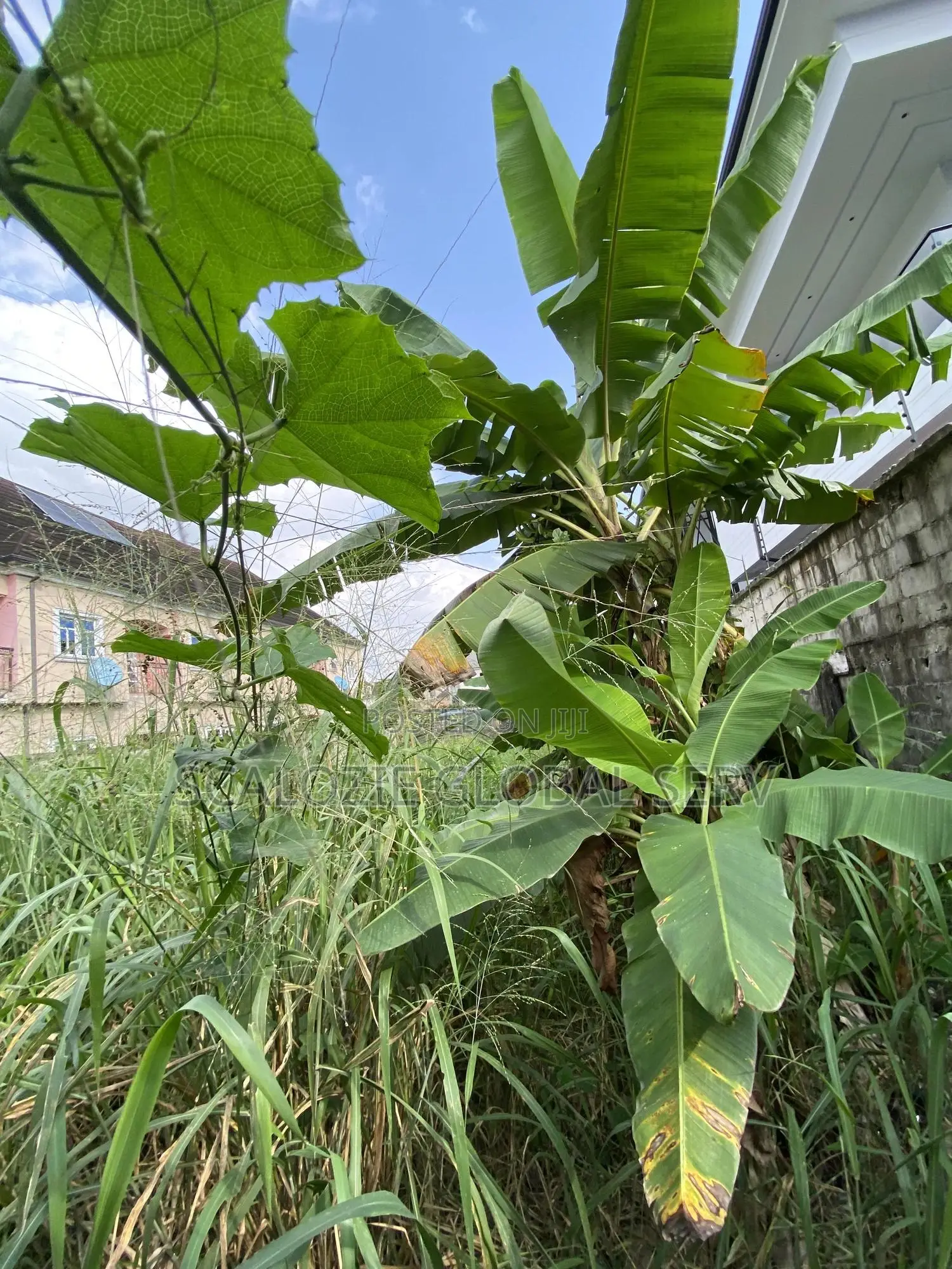 1 Plot of Land Fully Fenced Gated in a Secured Estate With Fed Light