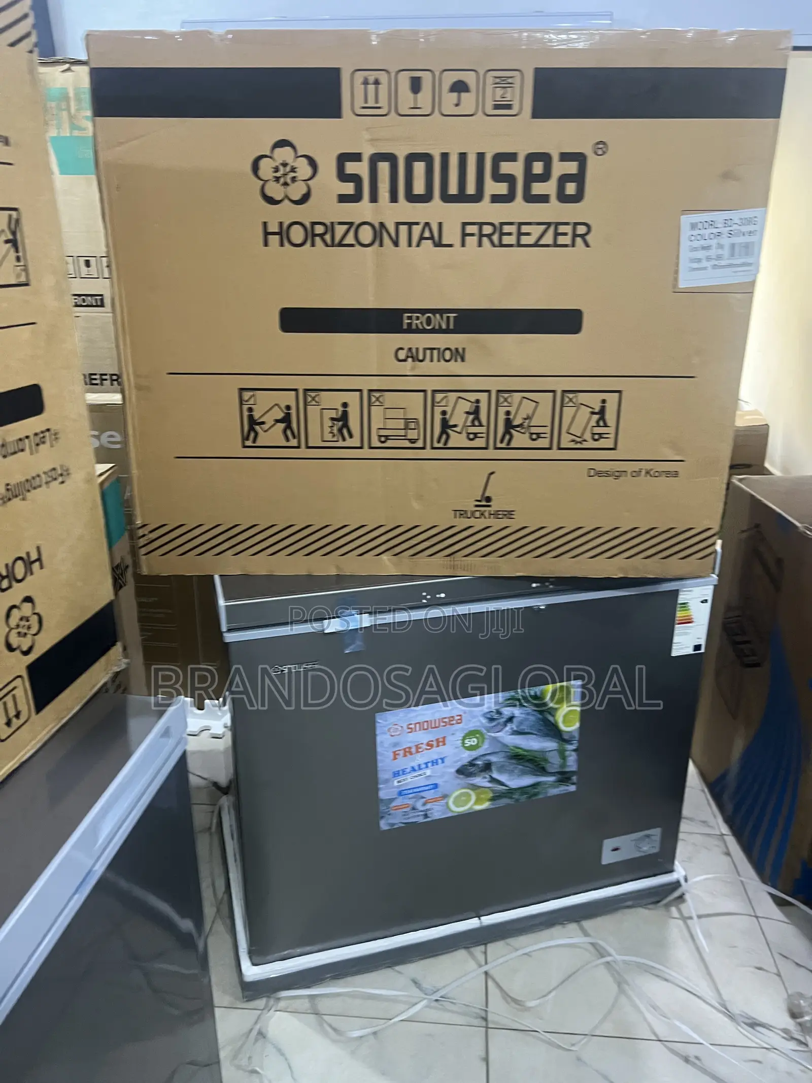 Snowsea 220l Bd-308 Deep Freezer With Anti-rust Body