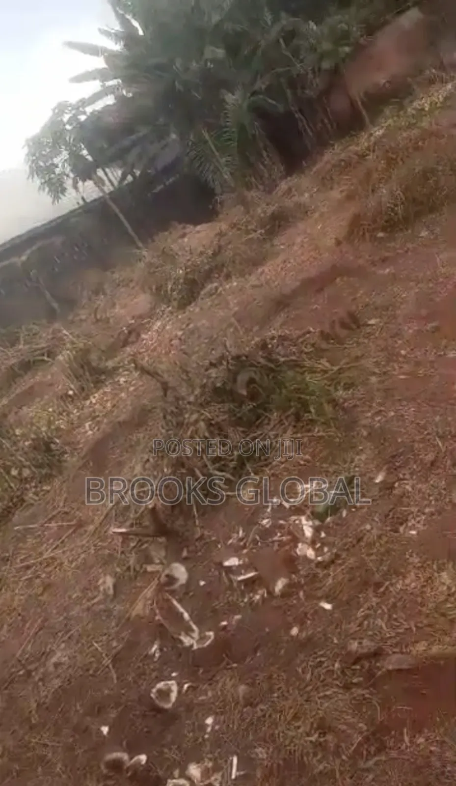 A Flat Land of 50/100 Feet at Ekae Road Off Sapele Rd for Sale