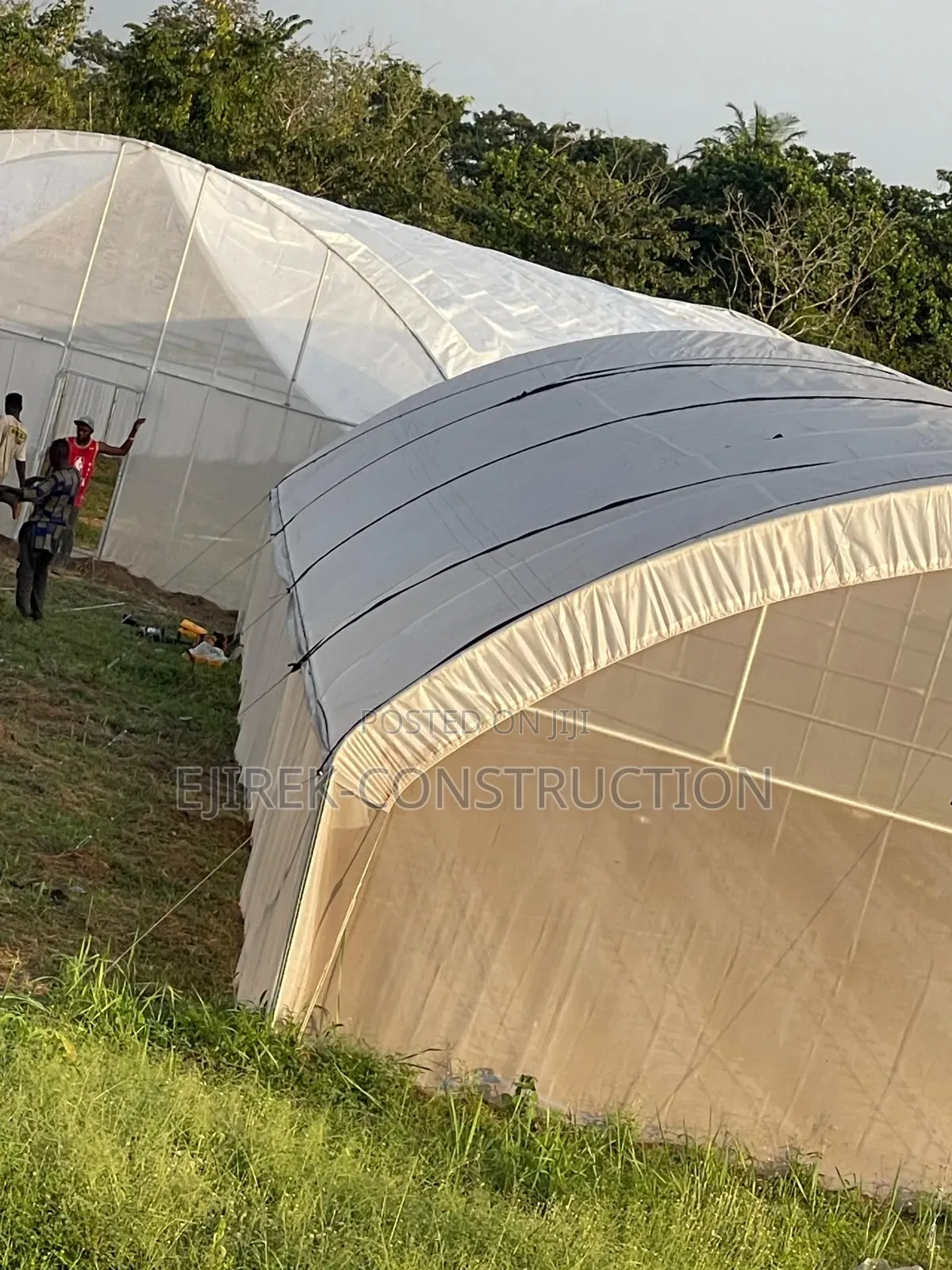 Greenhouse
