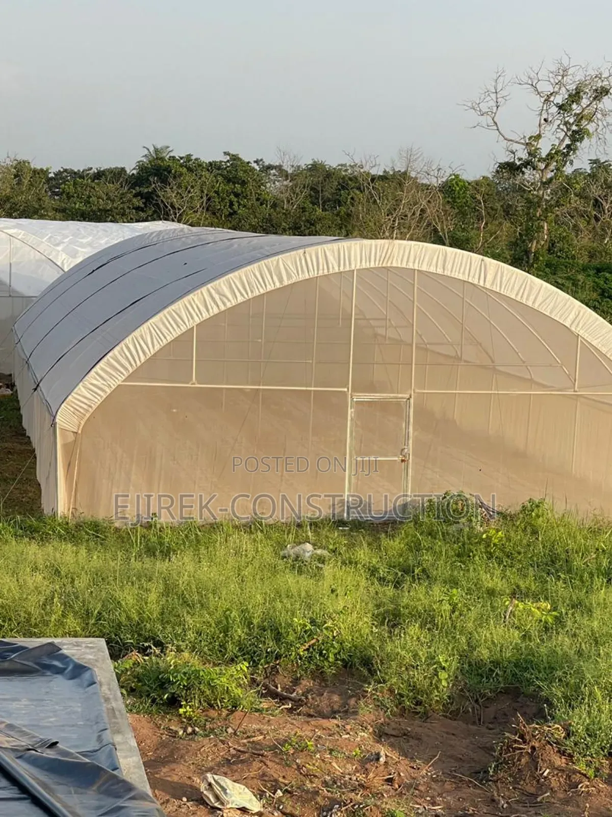 Greenhouse