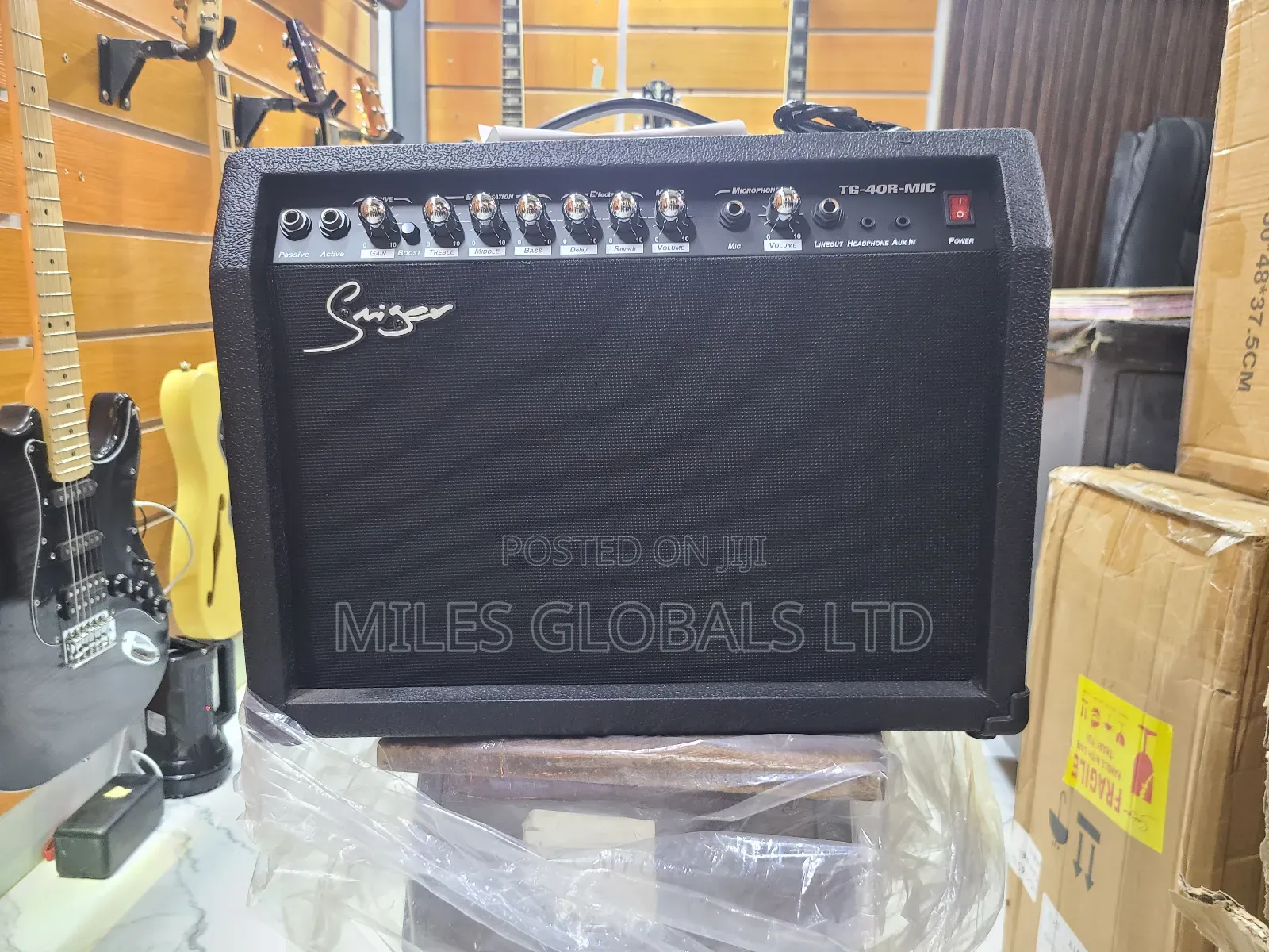 Smiger Tg-40r-Mic Lead Guitar Combo Amplifier