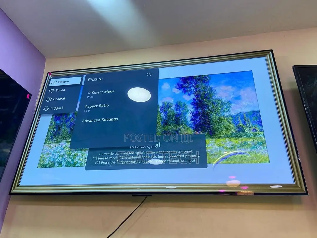 Lg Oled Smart Tv 65”