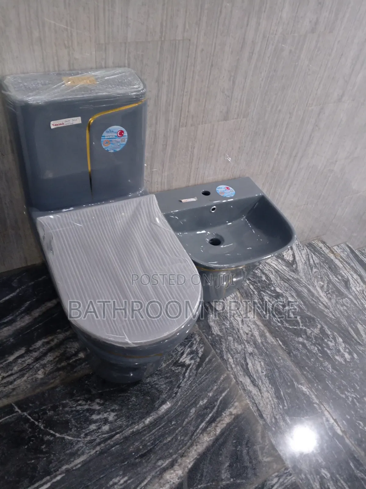 Grey With Strip Gold Water Closet With Wallhung Basin