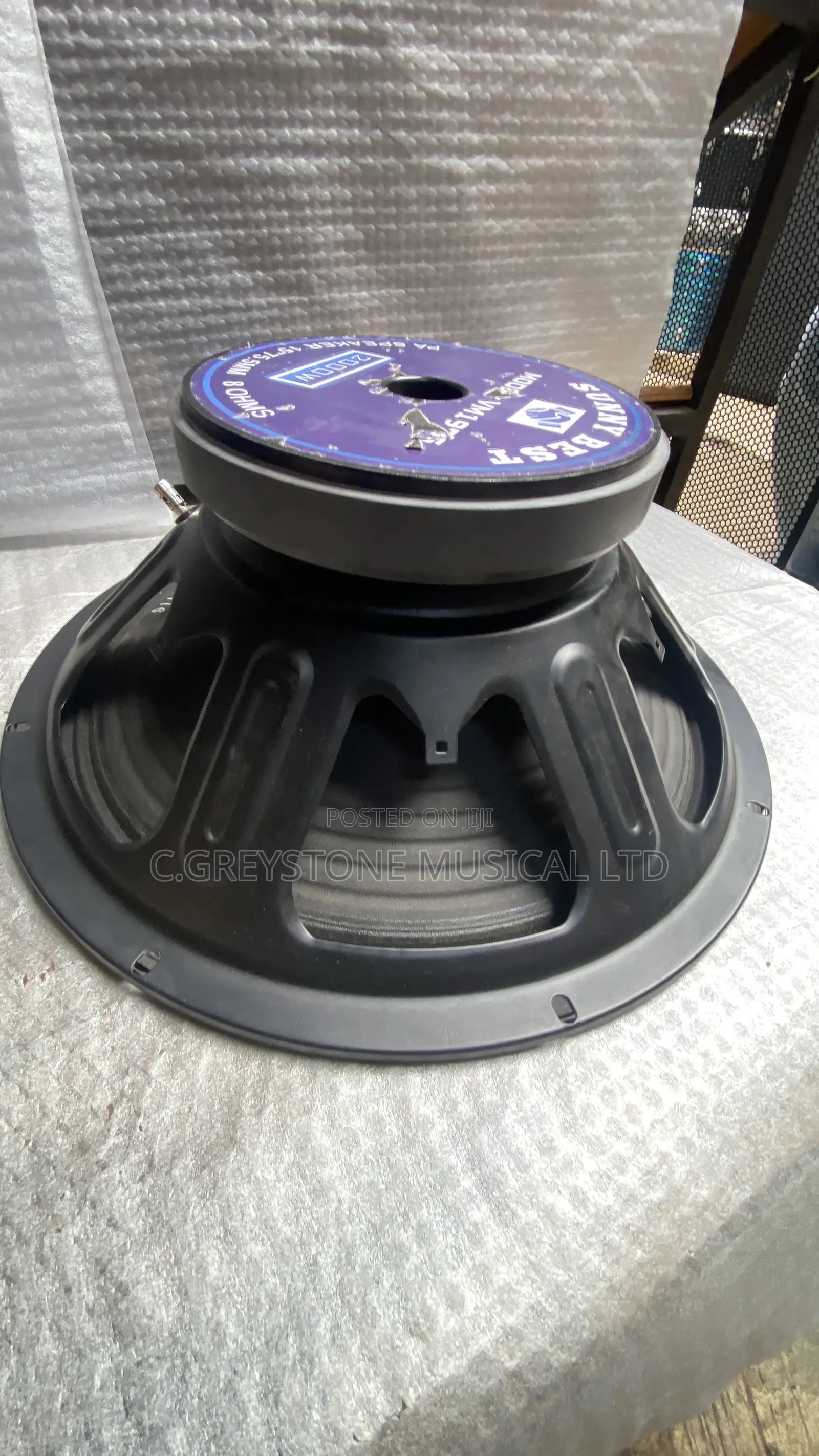 15 Inches Naked Speaker Iron Body