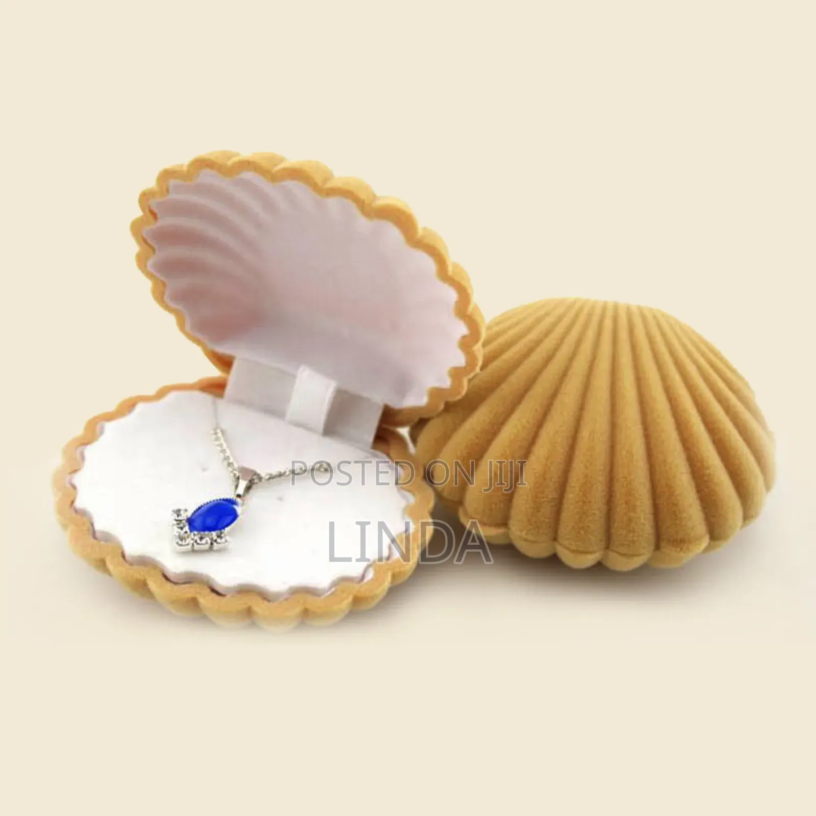 Shell Jewelry Box