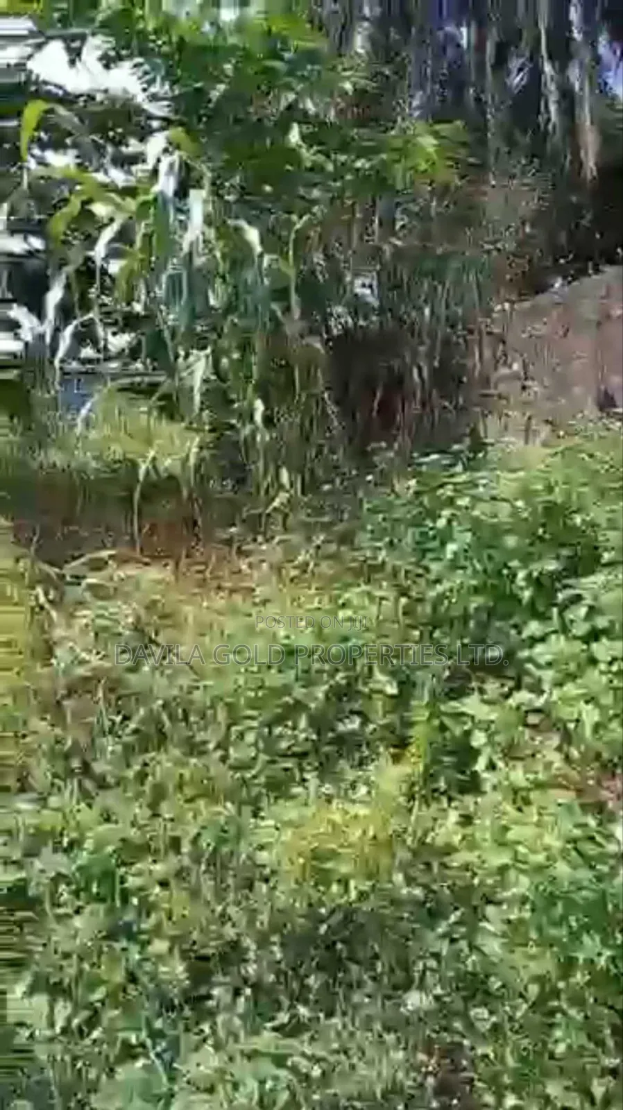 Ikpokpan Avenue Land for Sale
