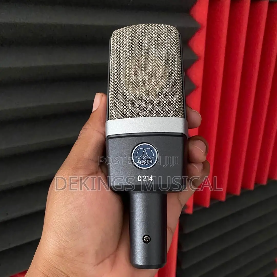 Akg C214 Large Diaphragm Recording Studio Condenser Microphone