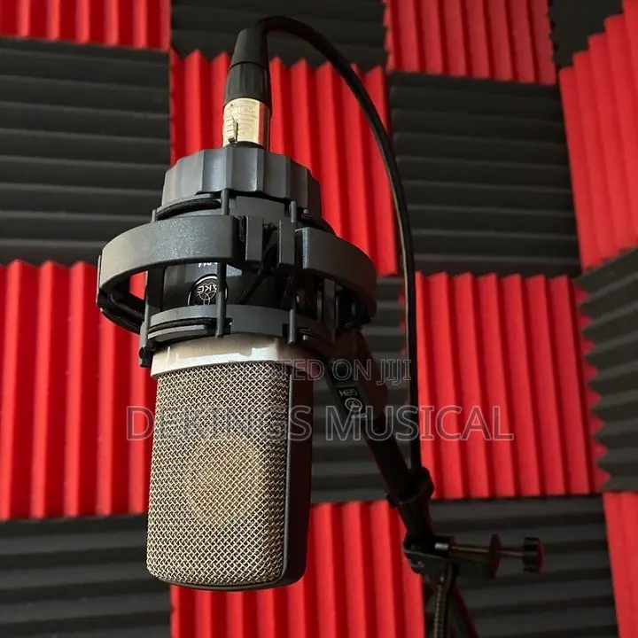 Akg C214 Large Diaphragm Recording Studio Condenser Microphone
