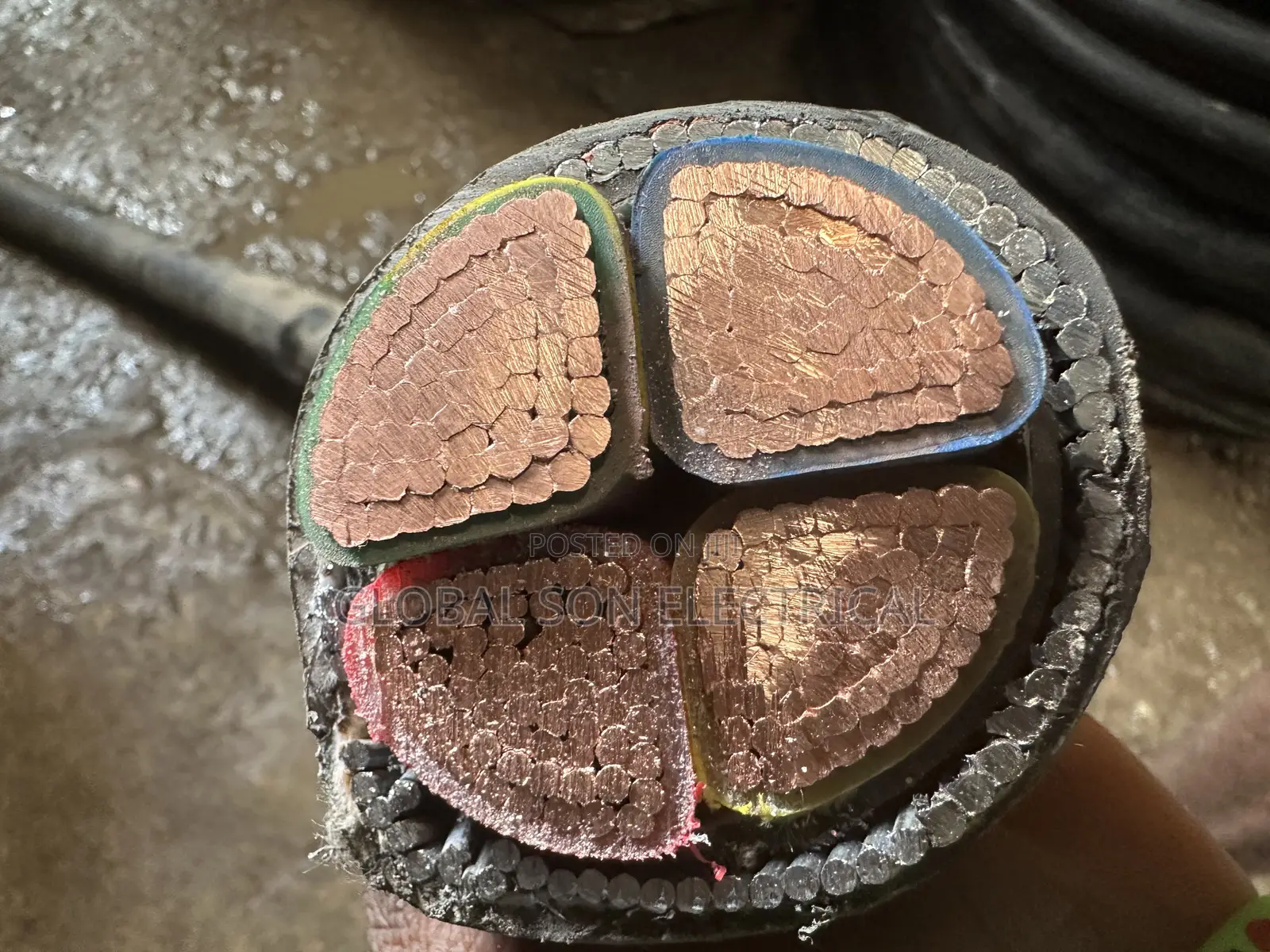 300mmx4core Armored Cable Coleman