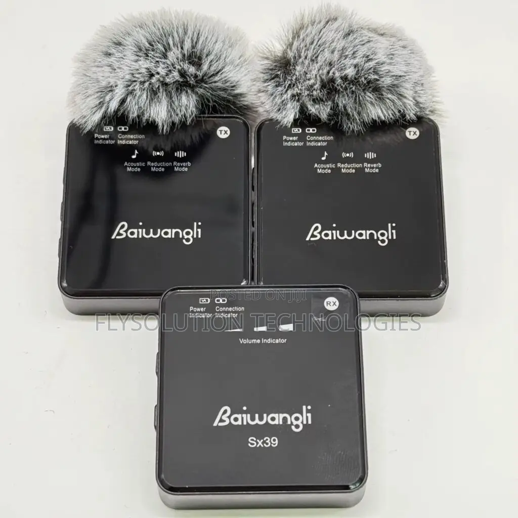 Baiwangli Wireless Mic (Sx39)