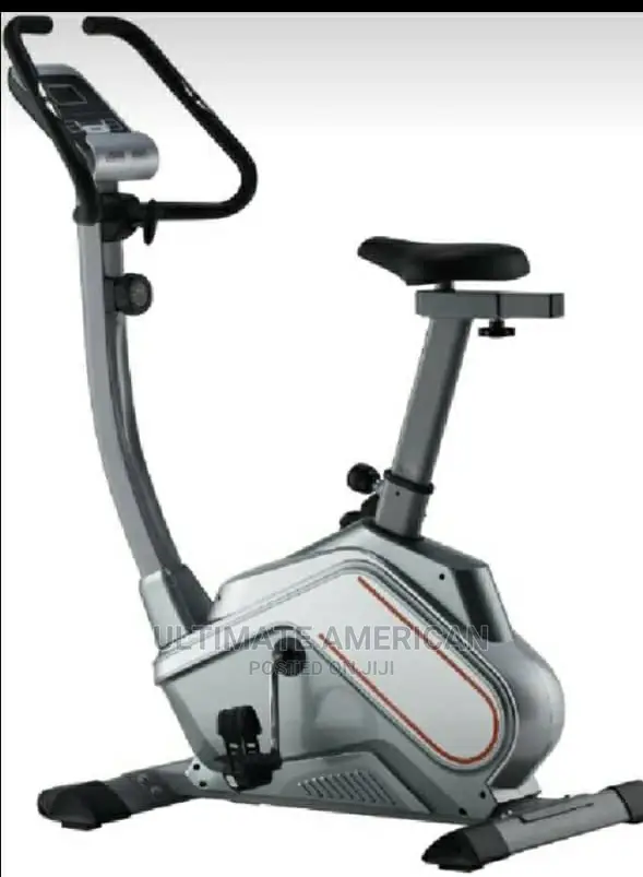 New Arriver Magnatic Bike Imported