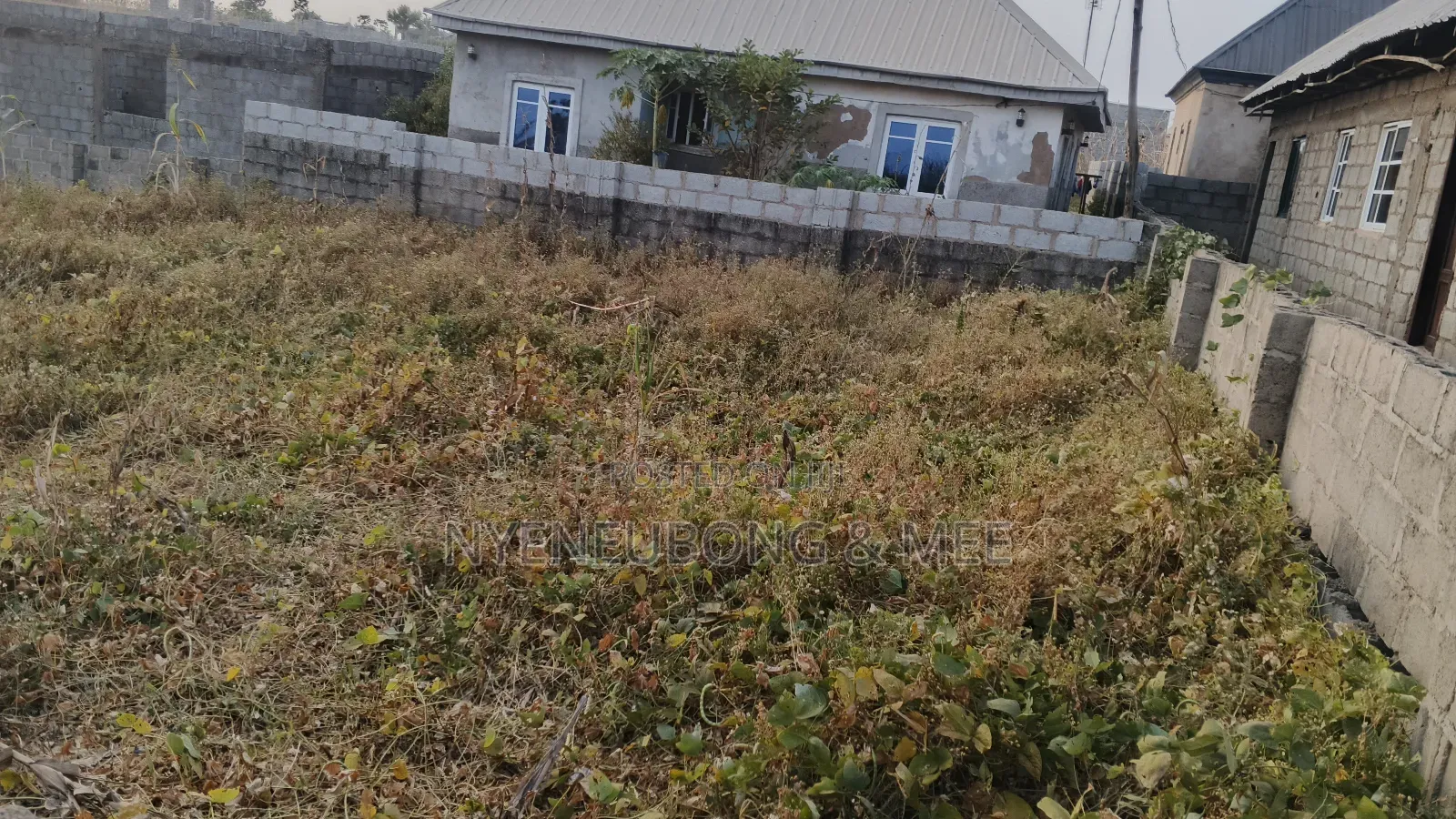 Virgin Land for Sale