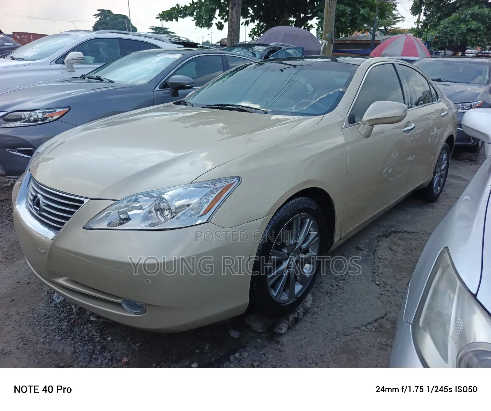 Lexus ES 350 2008 Gold