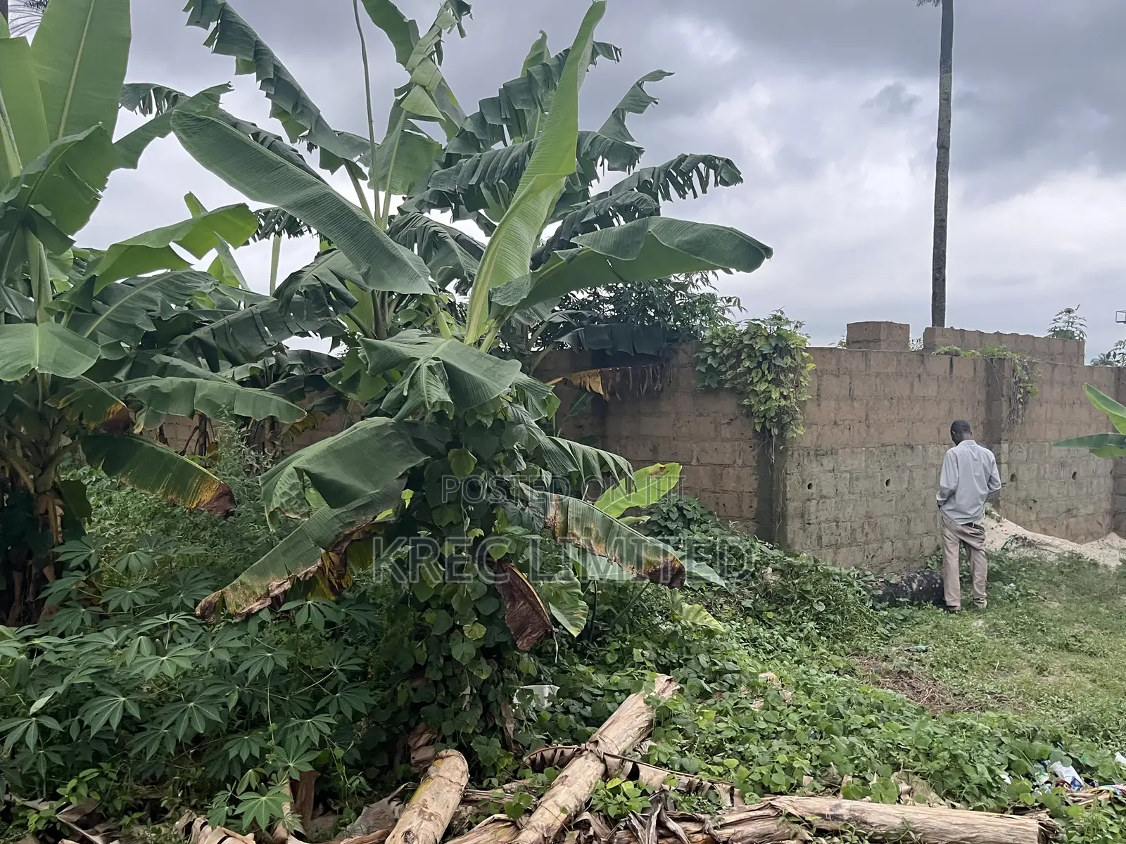 Deed of Conveyance at Igboetche 1plot