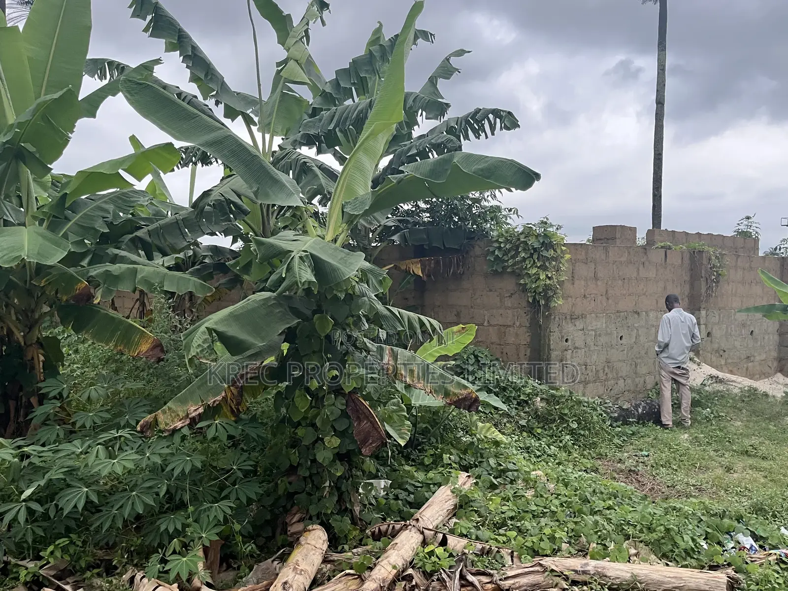 Deed of Conveyance at Igboetche 1plot