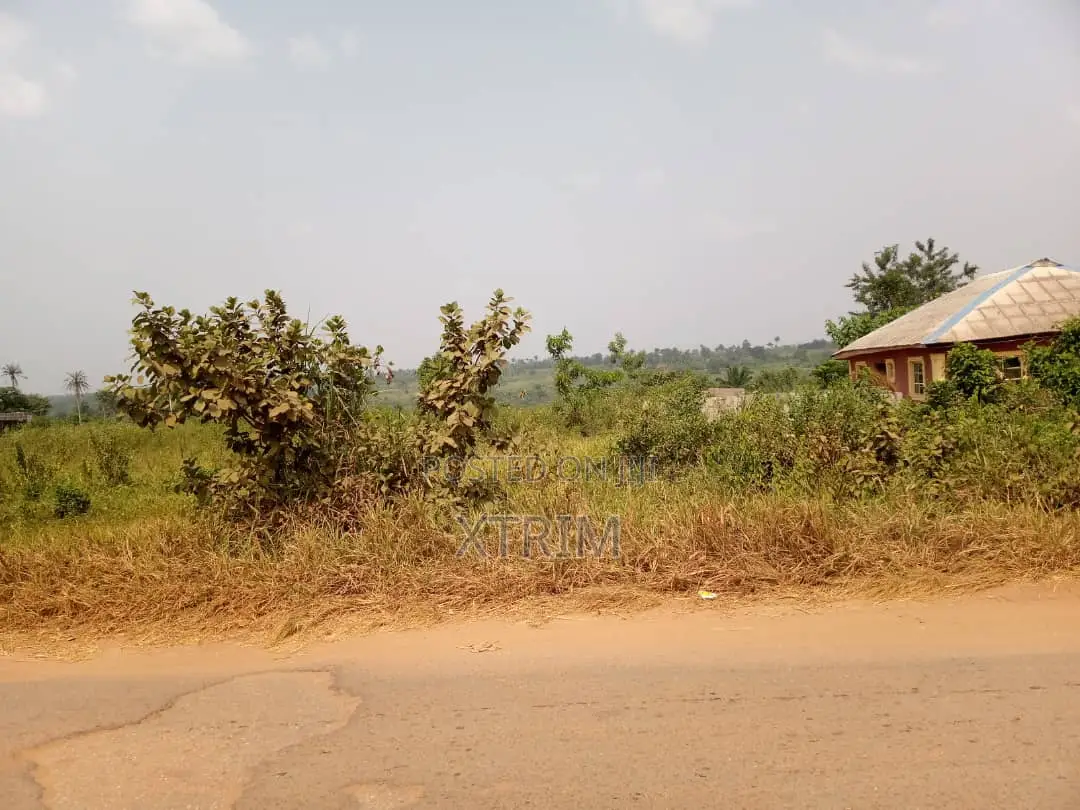 250 Acres of Land in Owode Town Along Idiroko Road, Ogun State