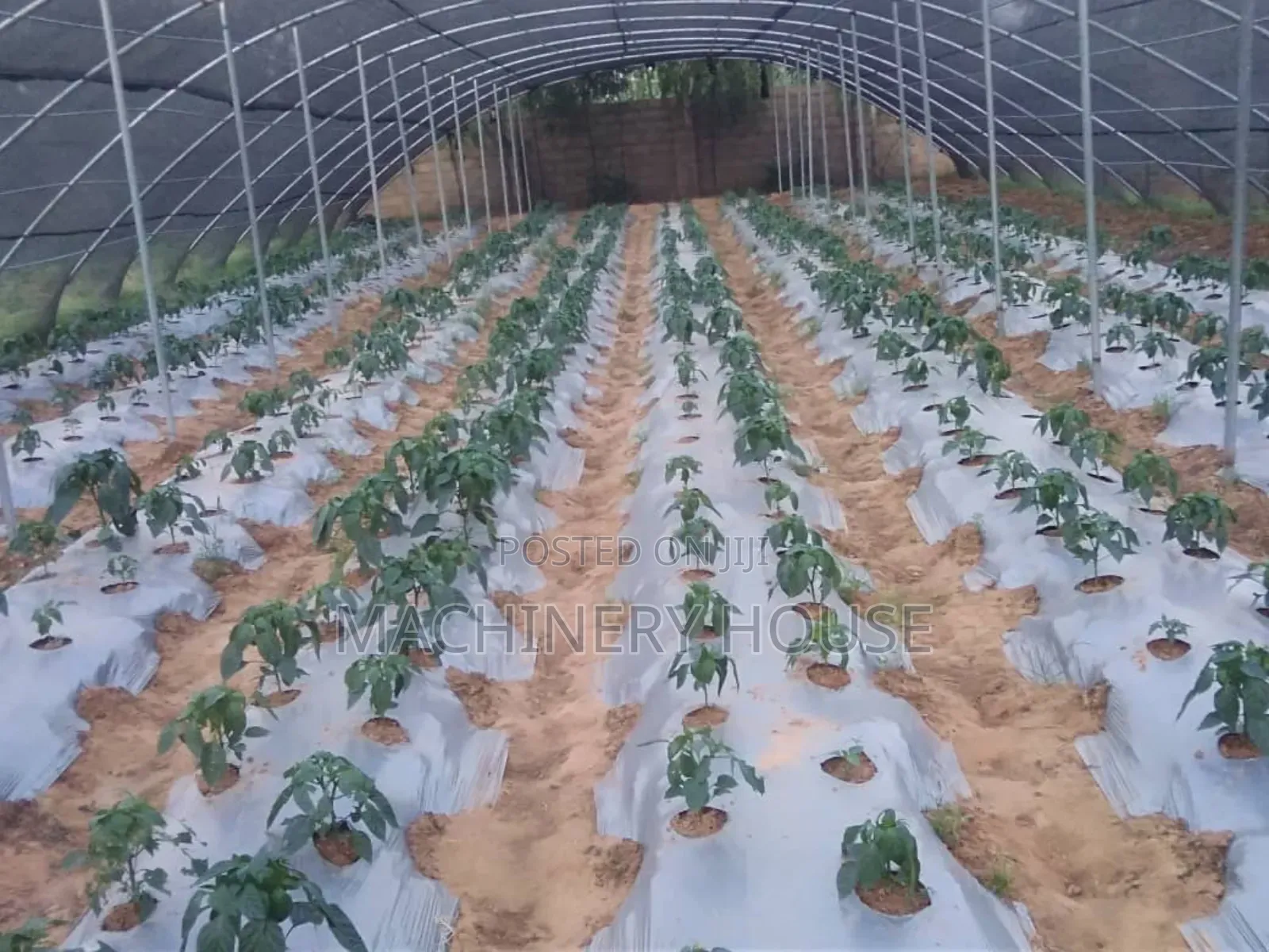 Green House Construction