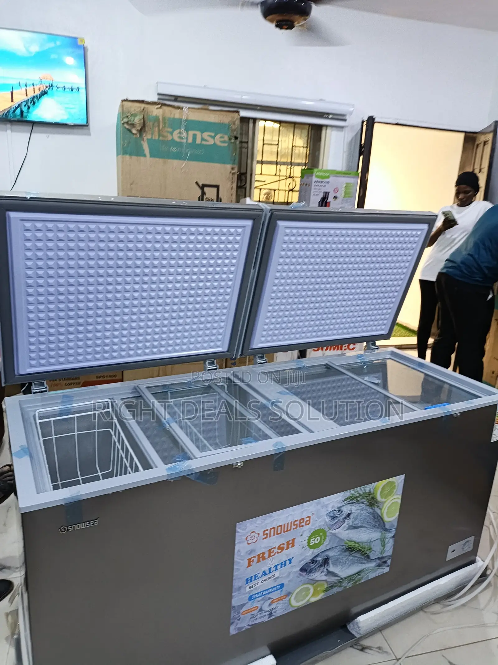 Snowsea Bd-700 Blizzard King Commercial Freezer