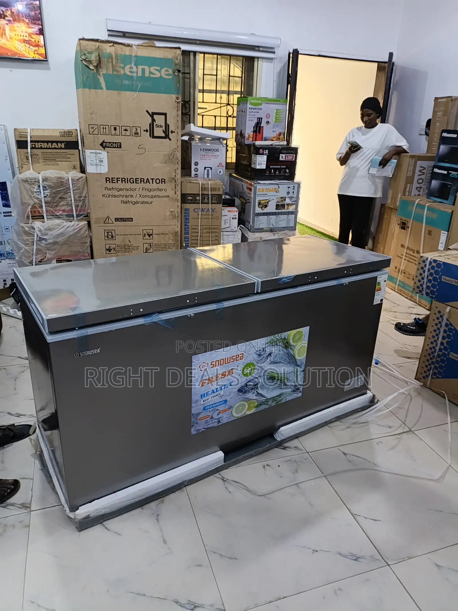 Snowsea Bd-700 Polar Storm Large Capacity Freezer