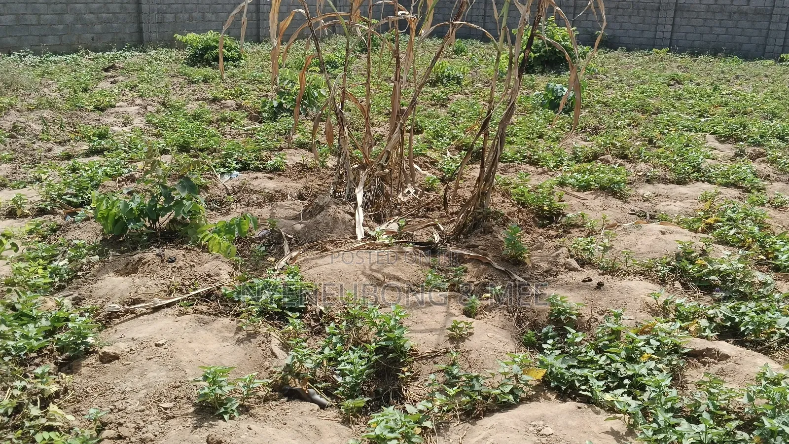 900sqm. Estate Land for Sale
