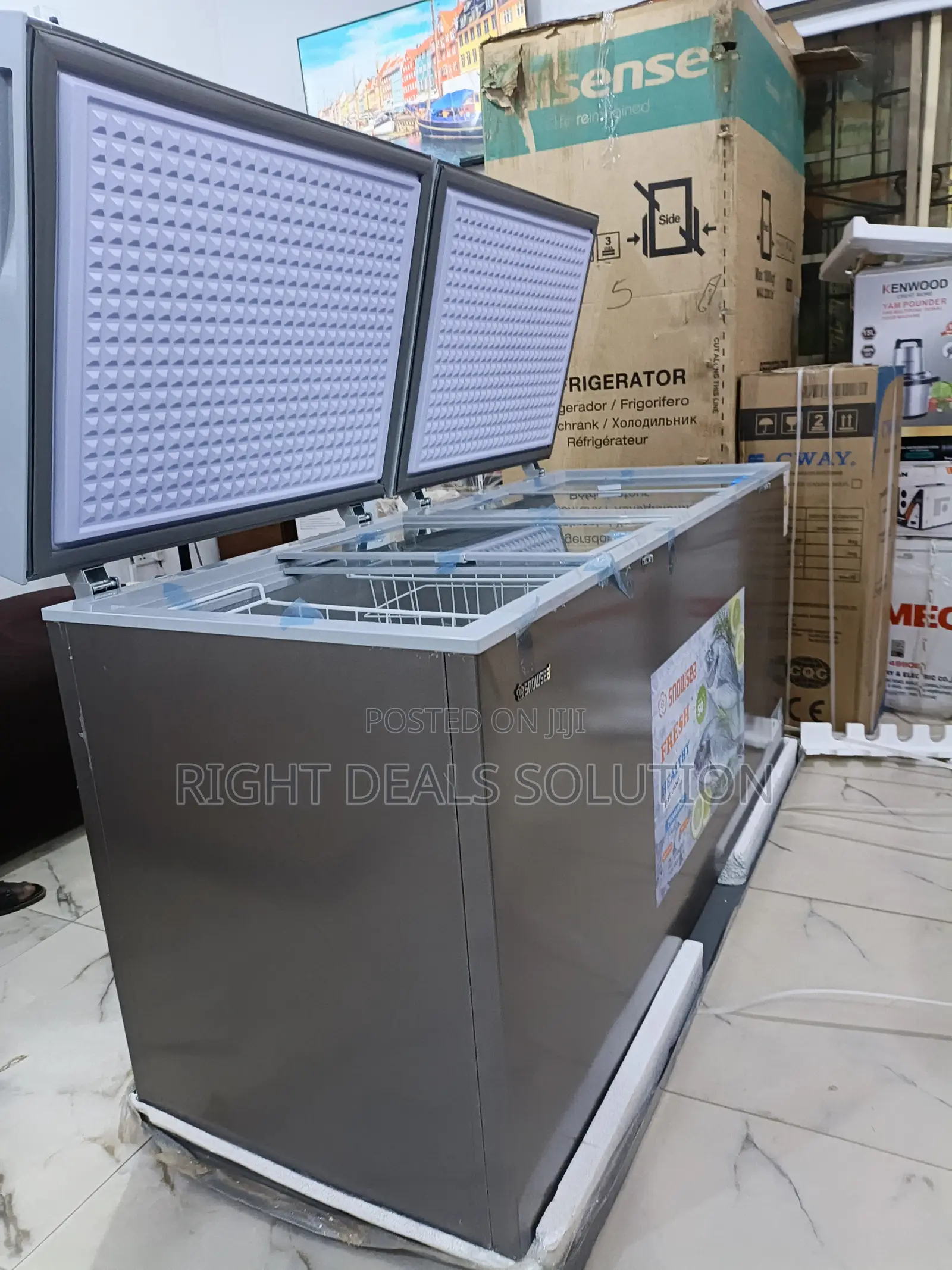 Snowsea Bd700 Professional Biomedical Freezer