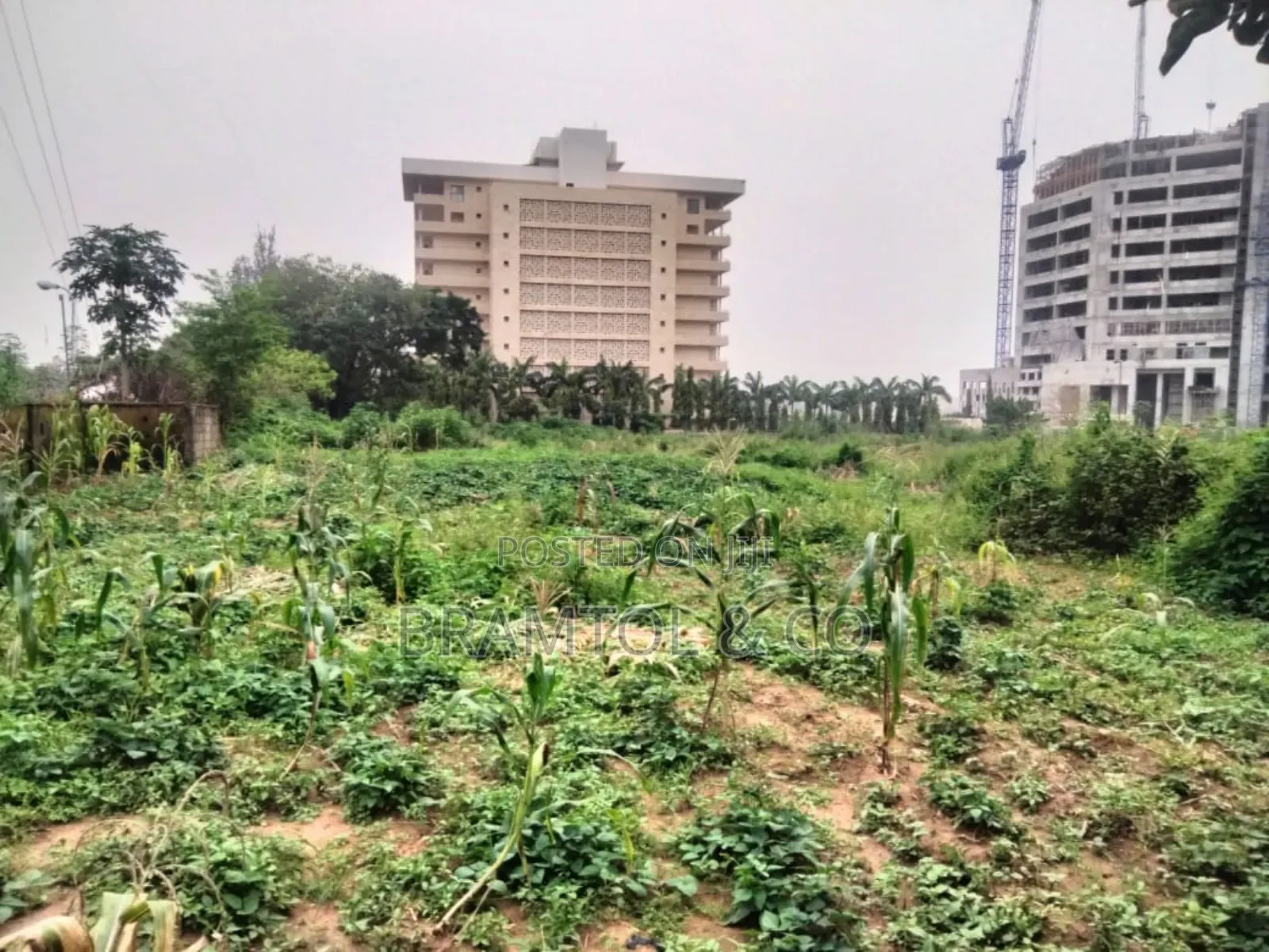 1.2 Hectares Commercial/Public Institution Land in Central Area