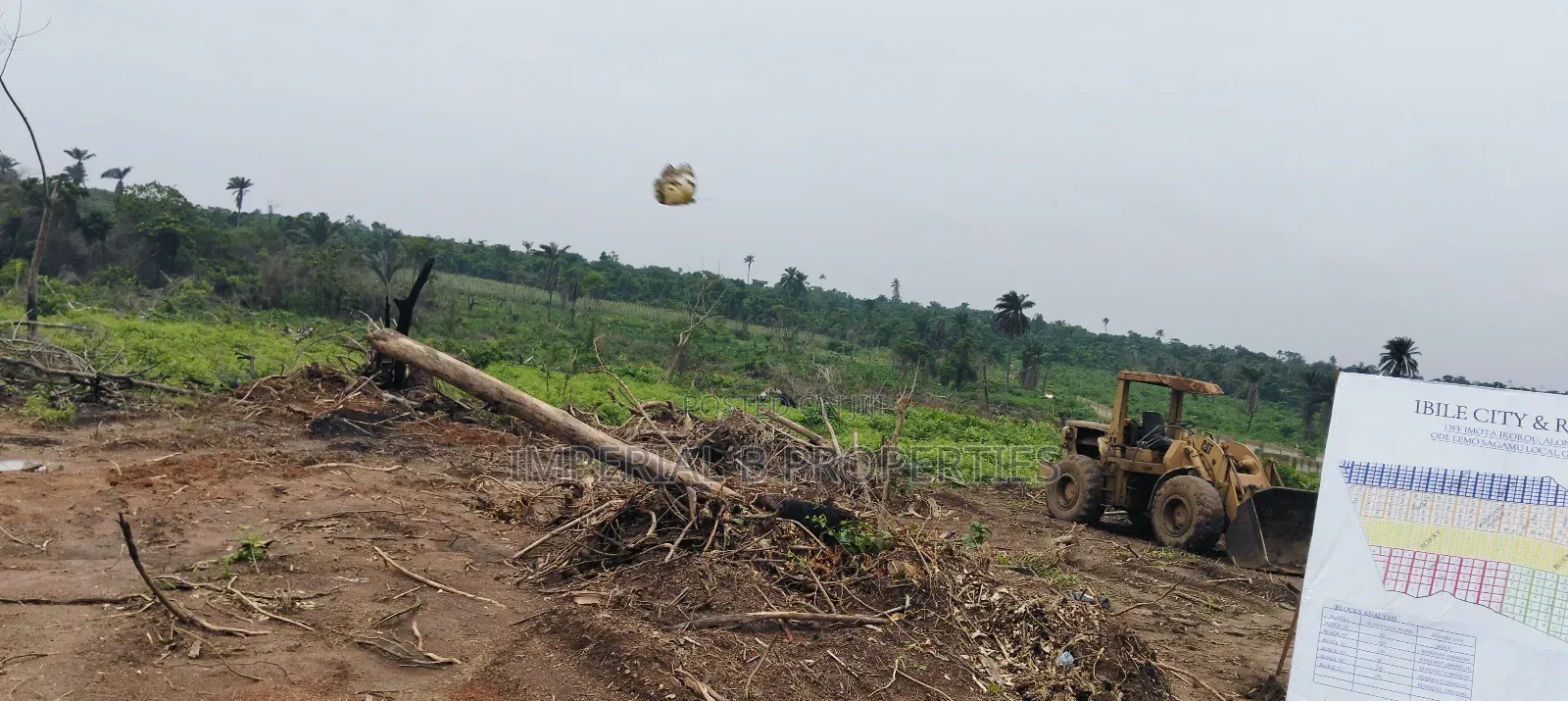 Ibile Farm City Abeokuta Now Selling