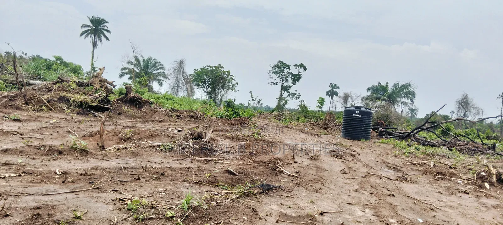 Ibile Farm City Abeokuta Now Selling