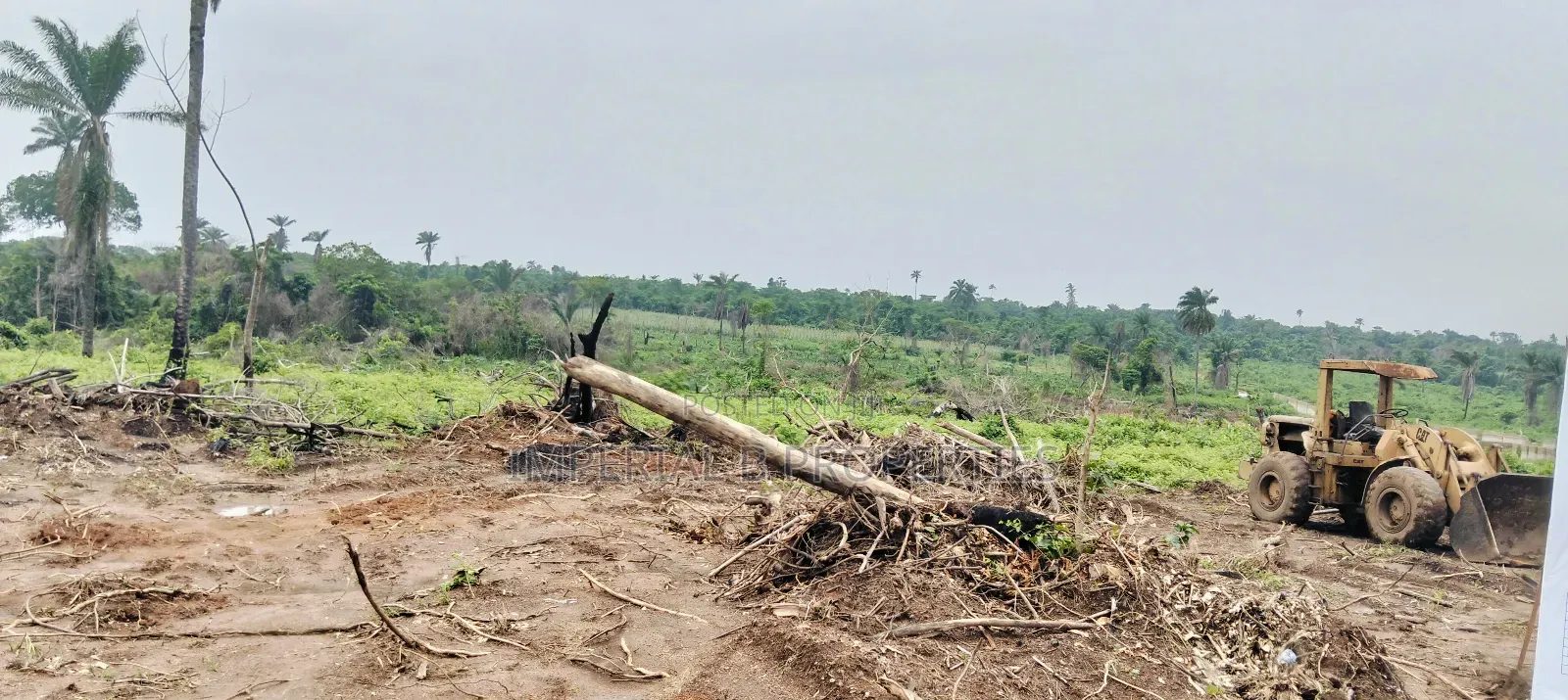 Ibile Farm City Abeokuta Now Selling