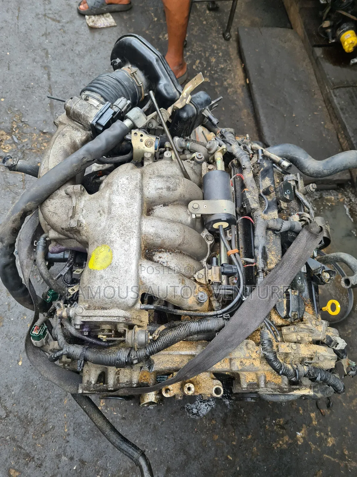 Nissan Altima / Quest /Murano and Nissan Maxima 2005