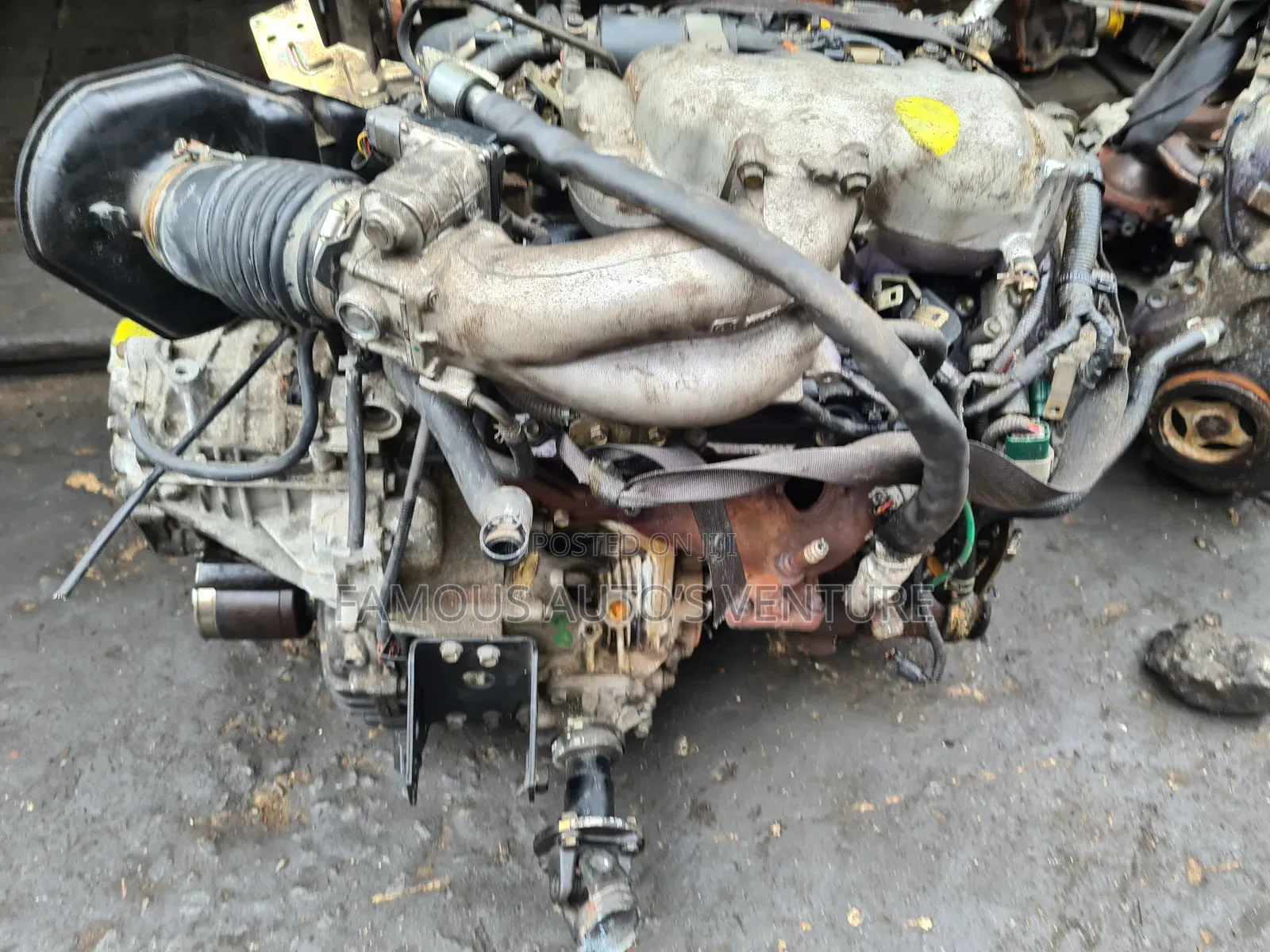Nissan Altima / Quest /Murano and Nissan Maxima 2005